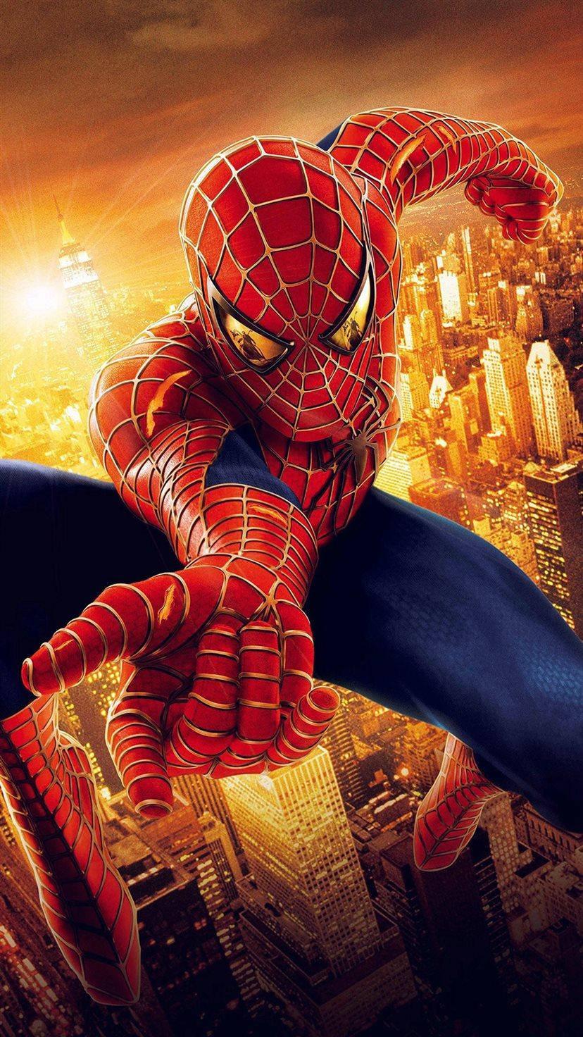 Radiant Illustration Spider Man Iphone — 828x1472 wallpaper