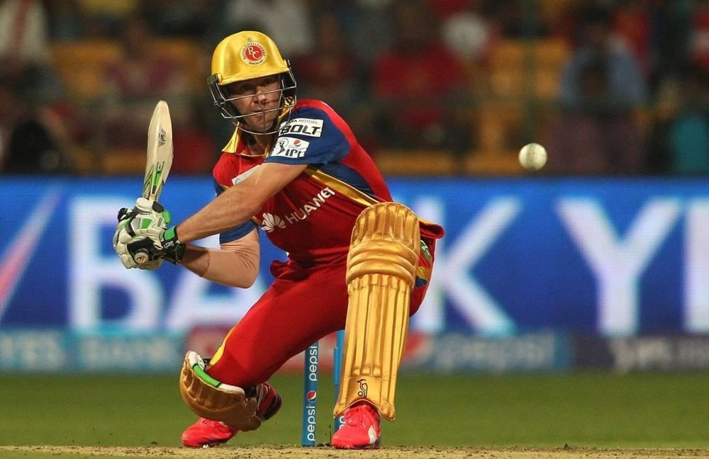 RCB Cricket Team Indian Premier League 8 — 1000x648 wallpaper