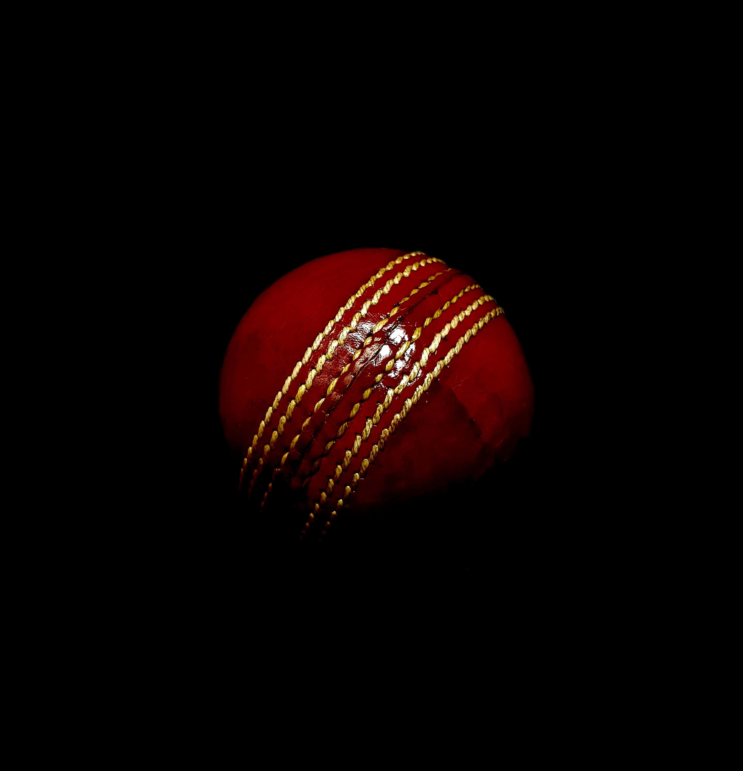 RCB Team Ready to Take the Pitch — 2928x3037 wallpaper