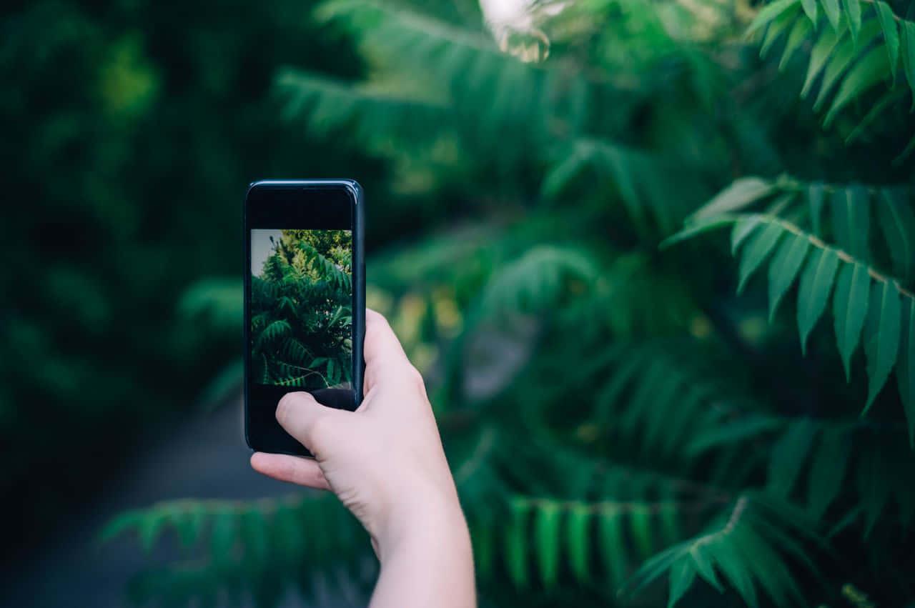 Reach Out & Connect With Those You Love — 1280x851 wallpaper