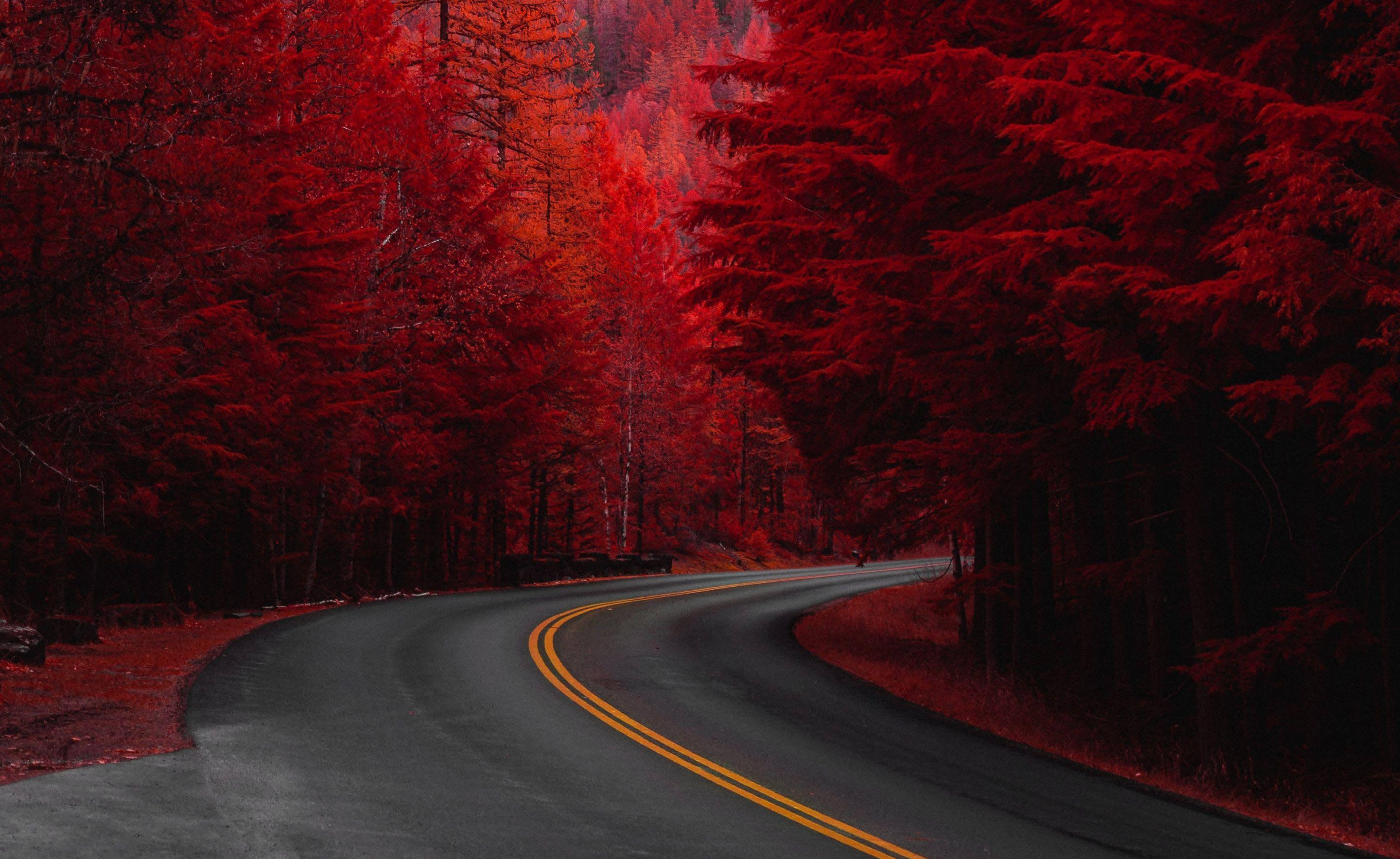 Red Fall Aesthetic Road — 2880x1768 wallpaper