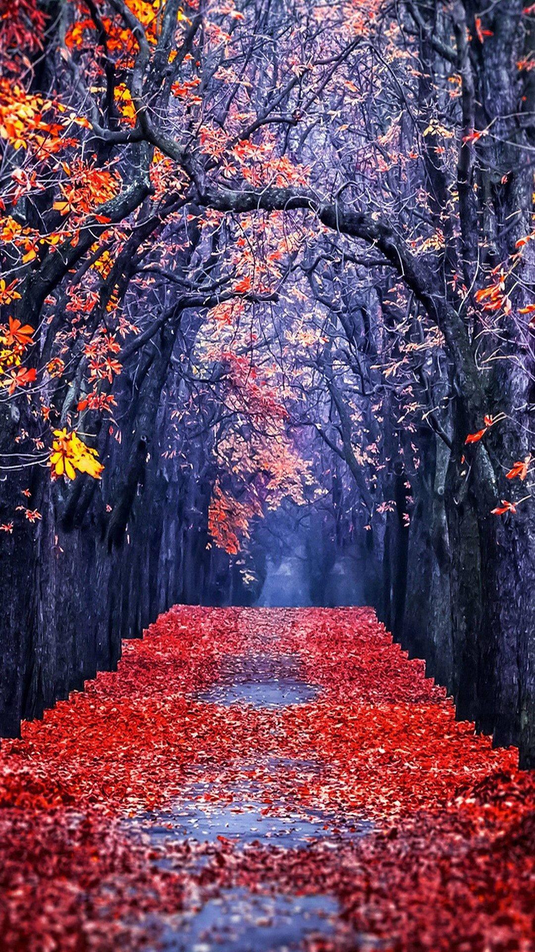 Red Leaves Orange Trees Fall IPhone — 1080x1920 wallpaper