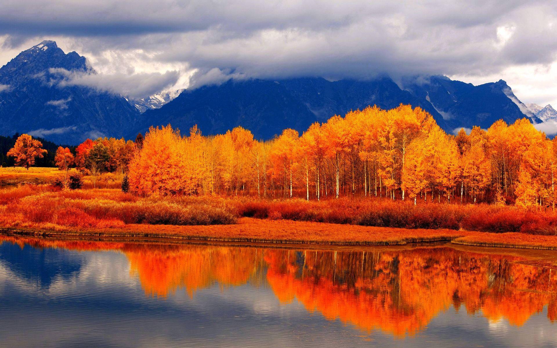 Red Trees Fall Season — 1920x1200 wallpaper