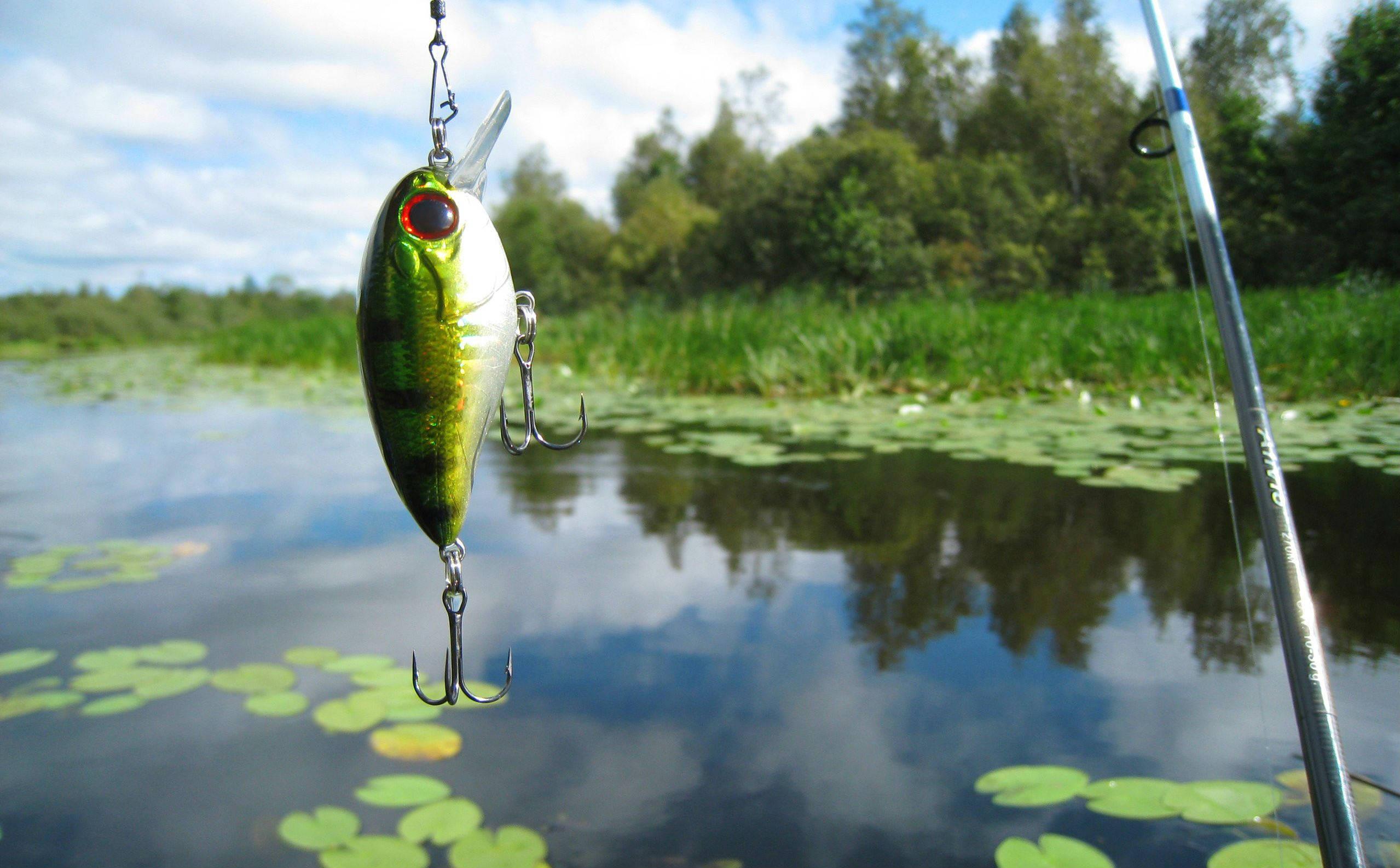 Reel in the Catch of a Lifetime — 2558x1586 wallpaper