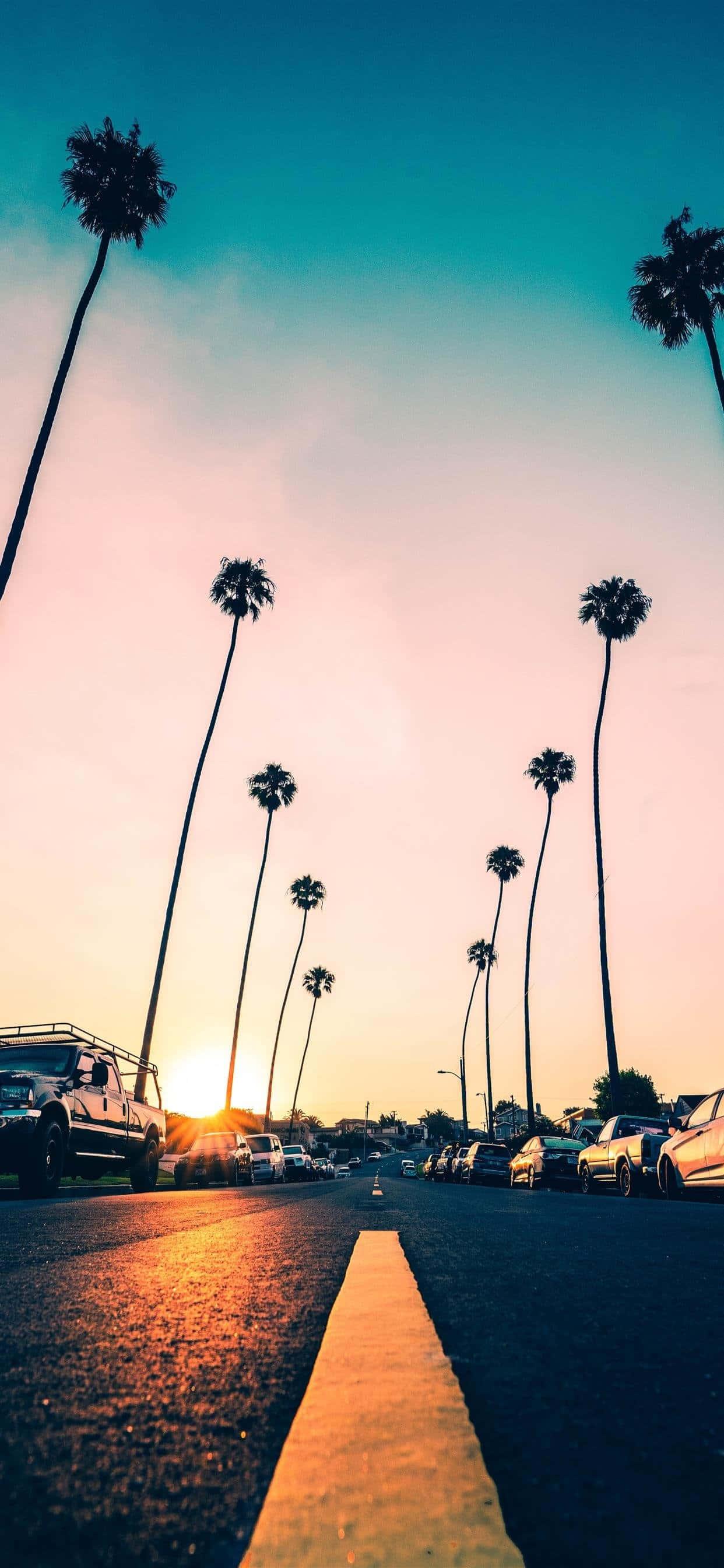 Refresh the summer vibes with an iPhone — 1242x2688 wallpaper