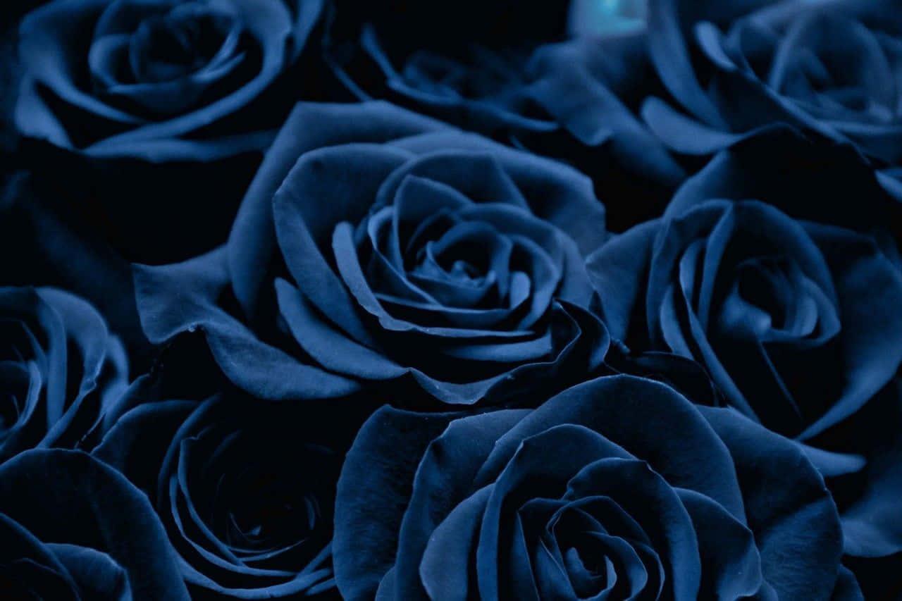 Relax and Breath in this Peaceful Blue Aesthetic — 1280x853 wallpaper
