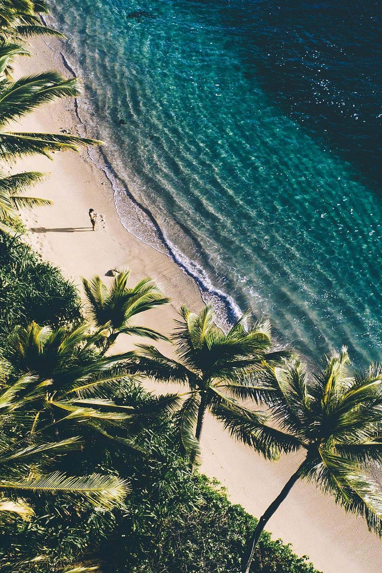 Relax in the Summertime — 1280x1920 wallpaper