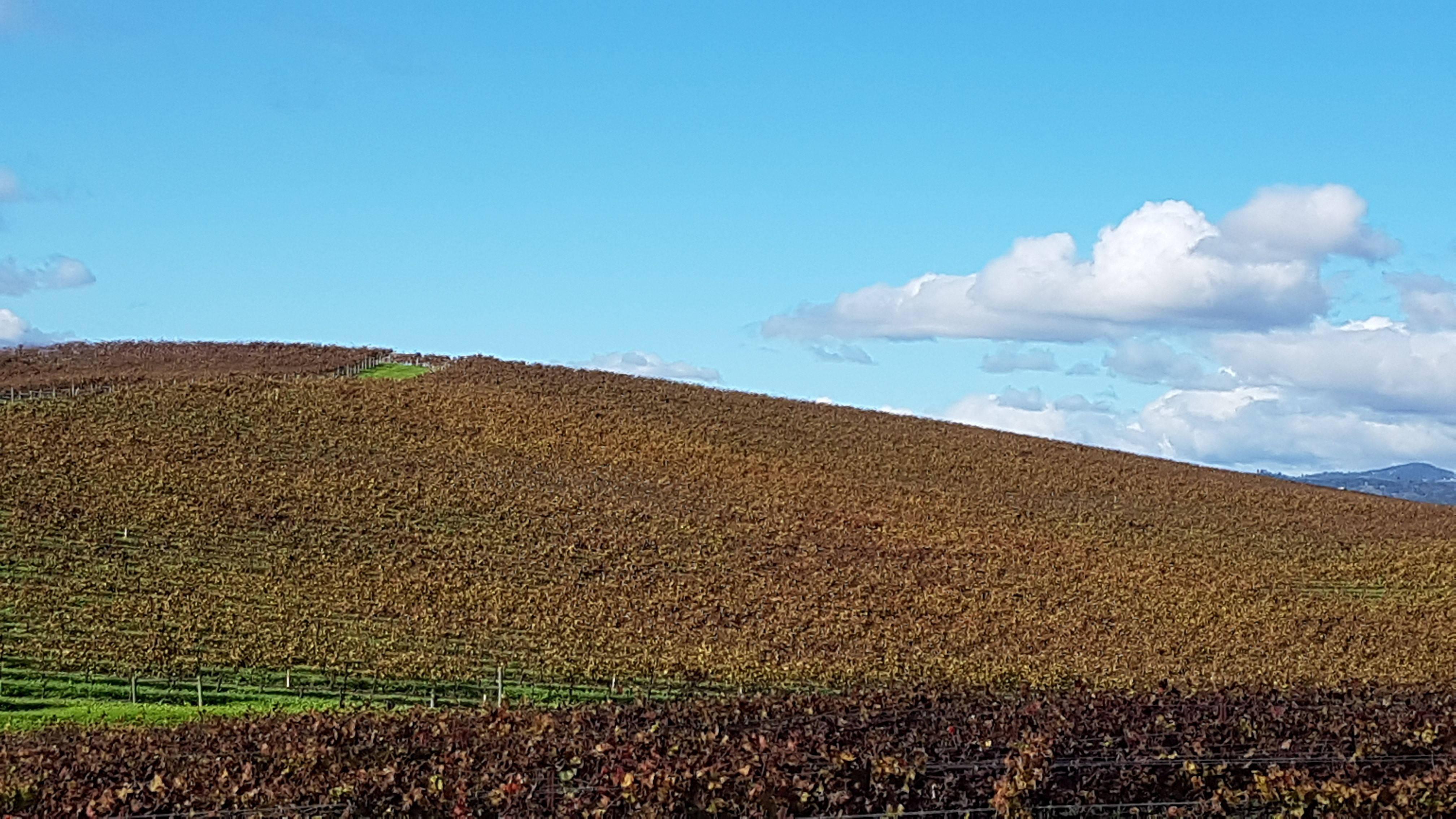 Reliving a Memorable Moment - The Windows XP Wallpaper — 4032x2268 wallpaper