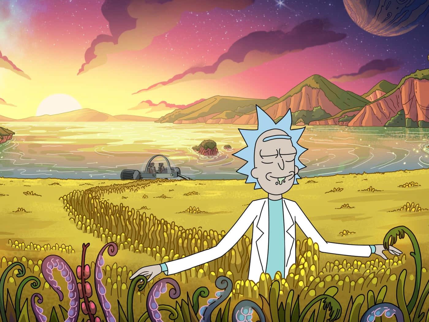 rick and morty in a field with a sunset — 1400x1050 wallpaper