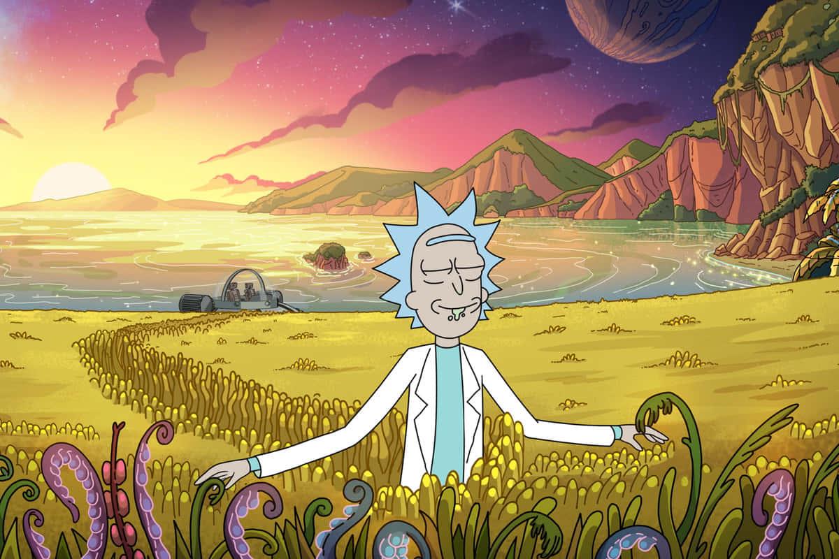 rick and morty in a field with a sunset — 1200x800 wallpaper