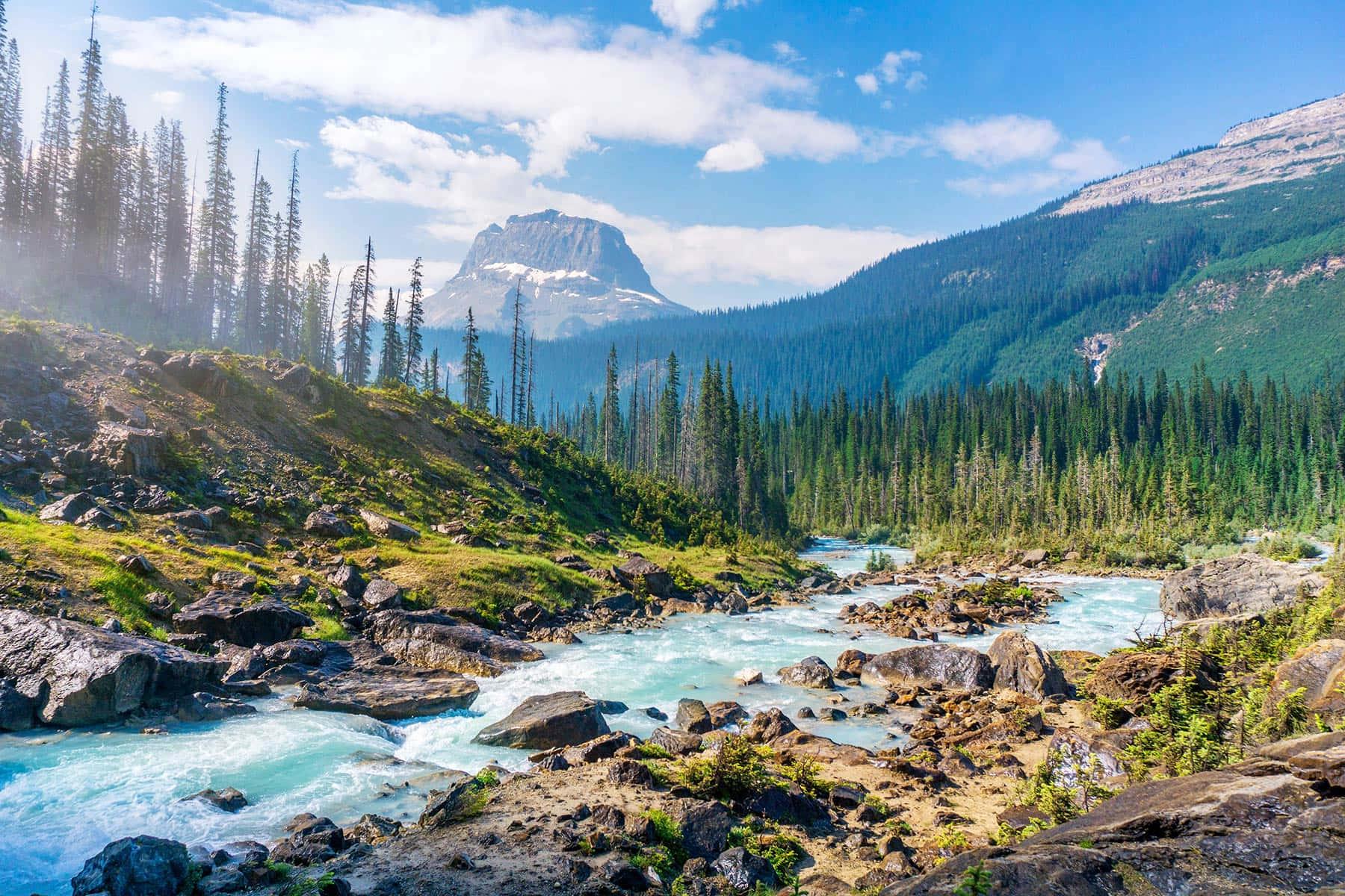 River In The Valley Nature Picture — 1800x1200 wallpaper