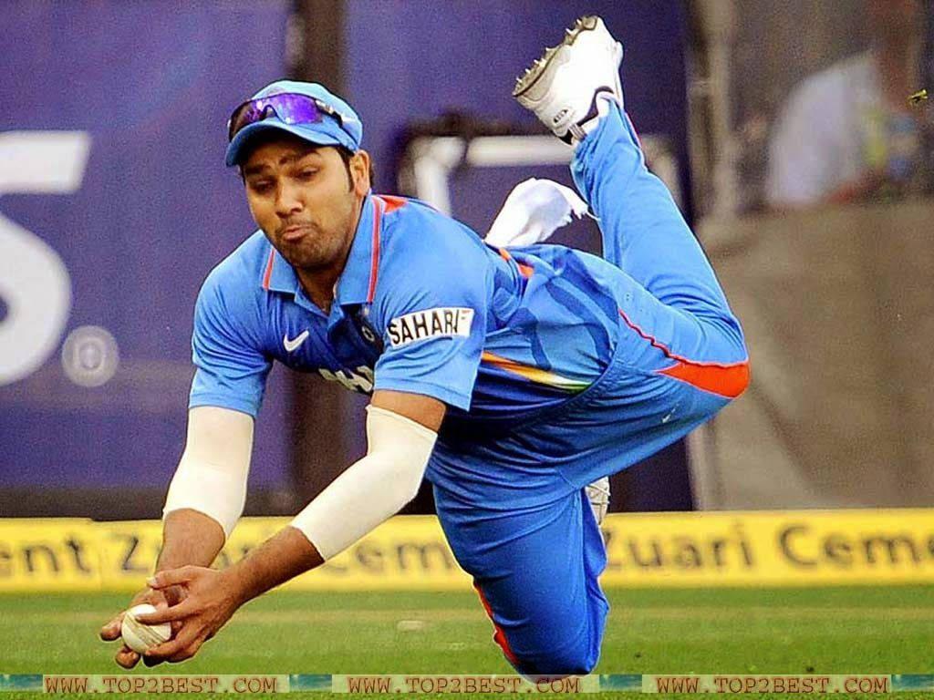 Rohit Sharma Ball Catcher — 1024x768 wallpaper