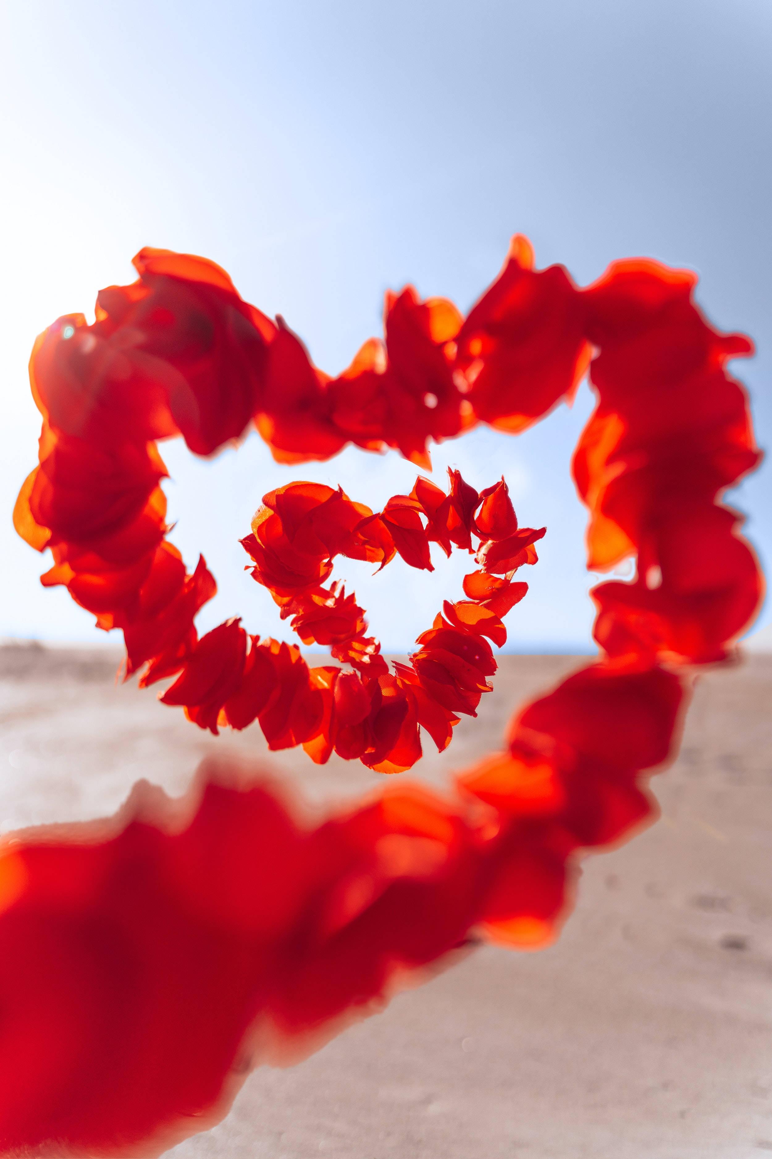 Romantic Love Heart Petals — 2500x3750 wallpaper