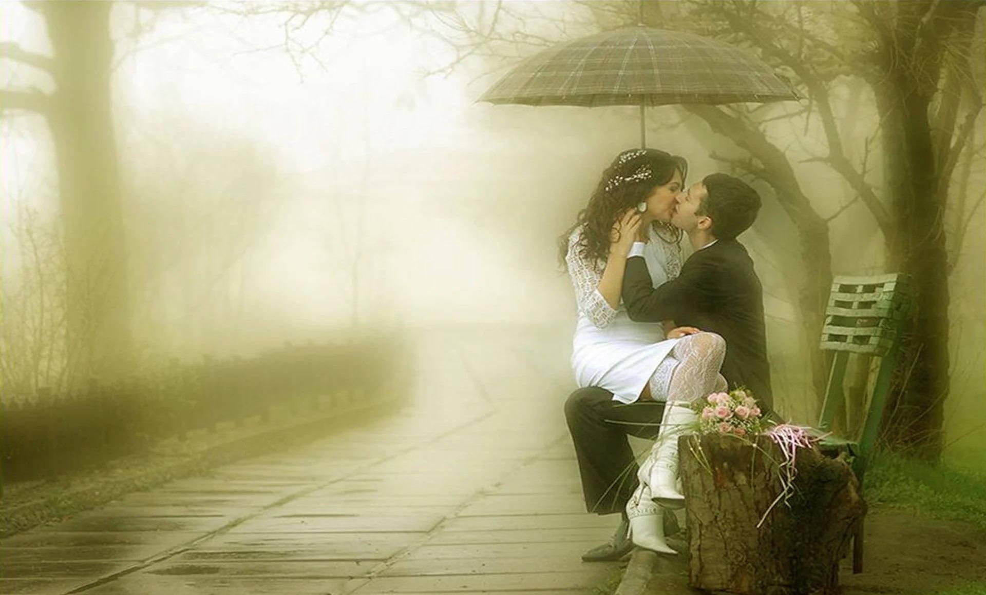 Romantic Love In A Park — 1920x1160 wallpaper