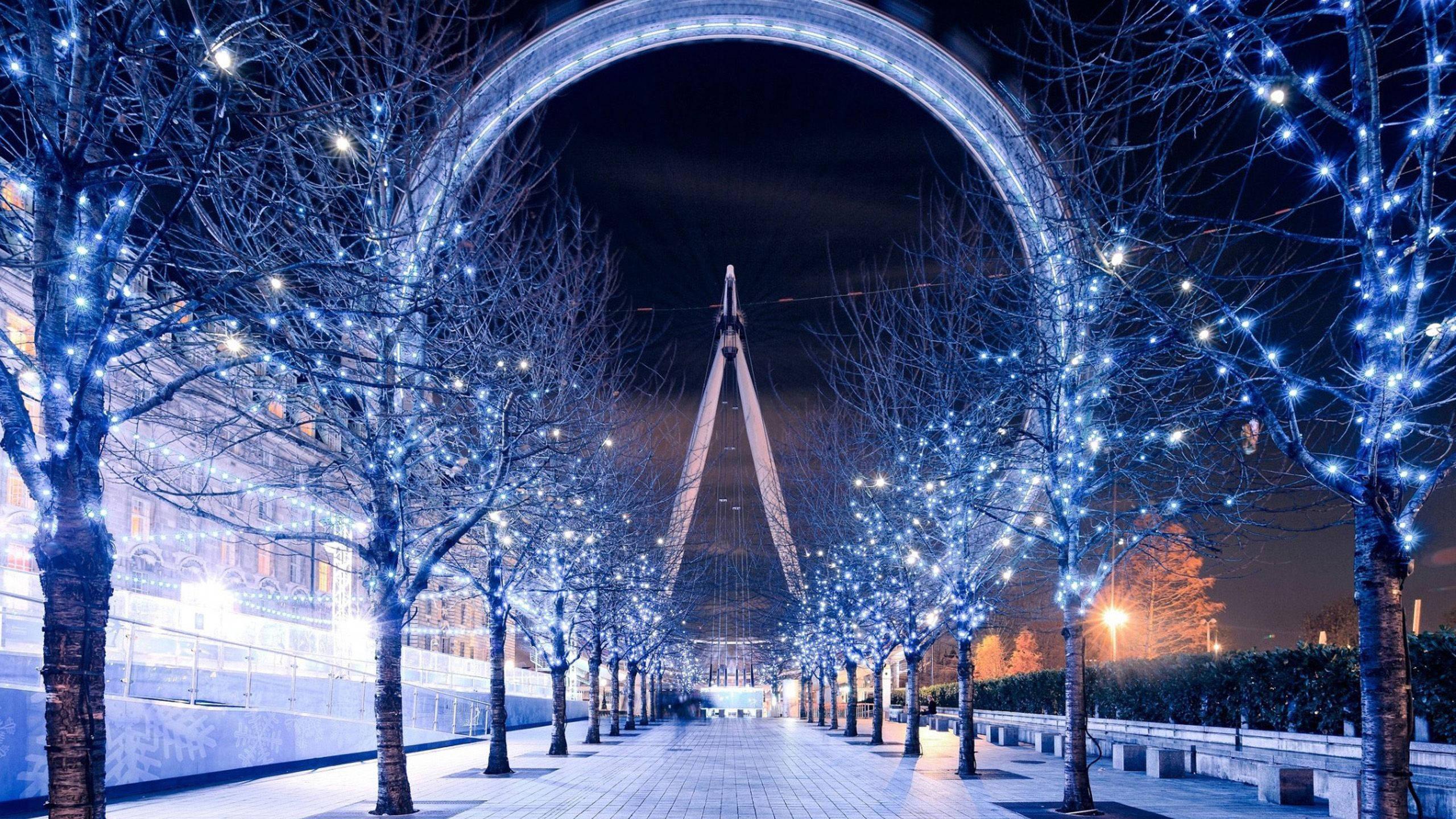Romantic winter stroll in the park. — 2560x1440 wallpaper