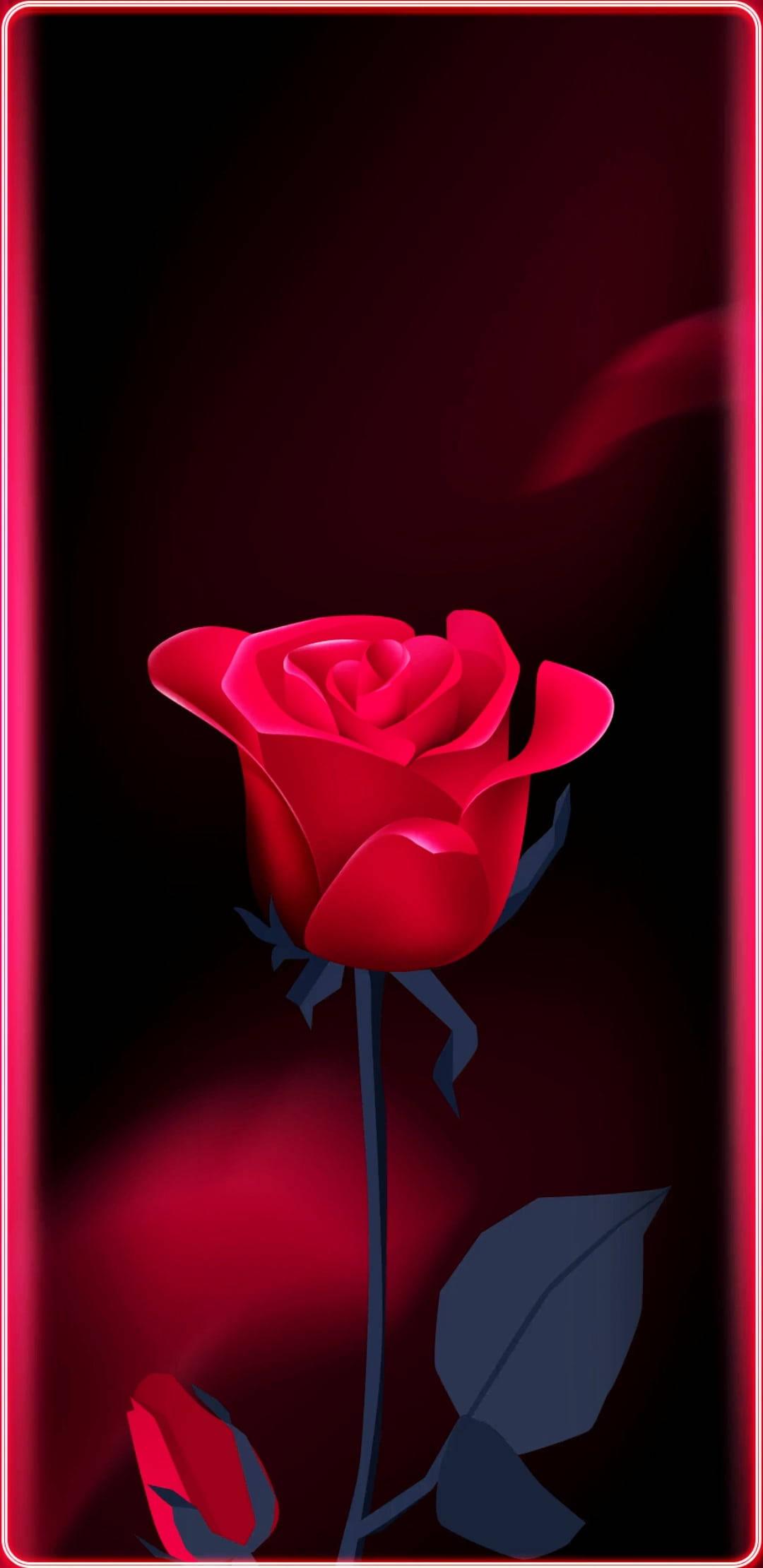 Rose Flower Mobile — 1080x2220 wallpaper