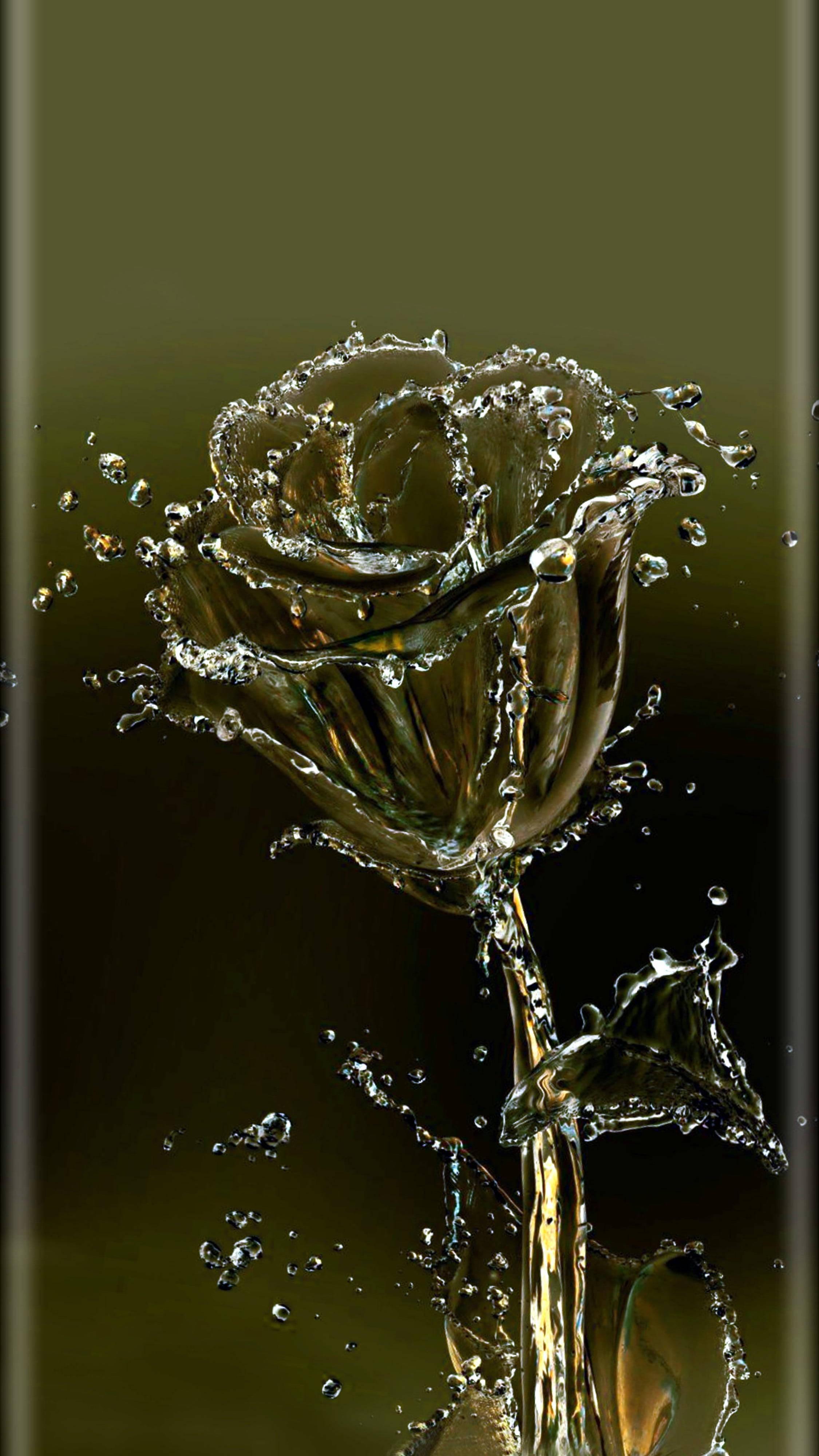 Rose Water Flower Mobile — 2250x4000 wallpaper