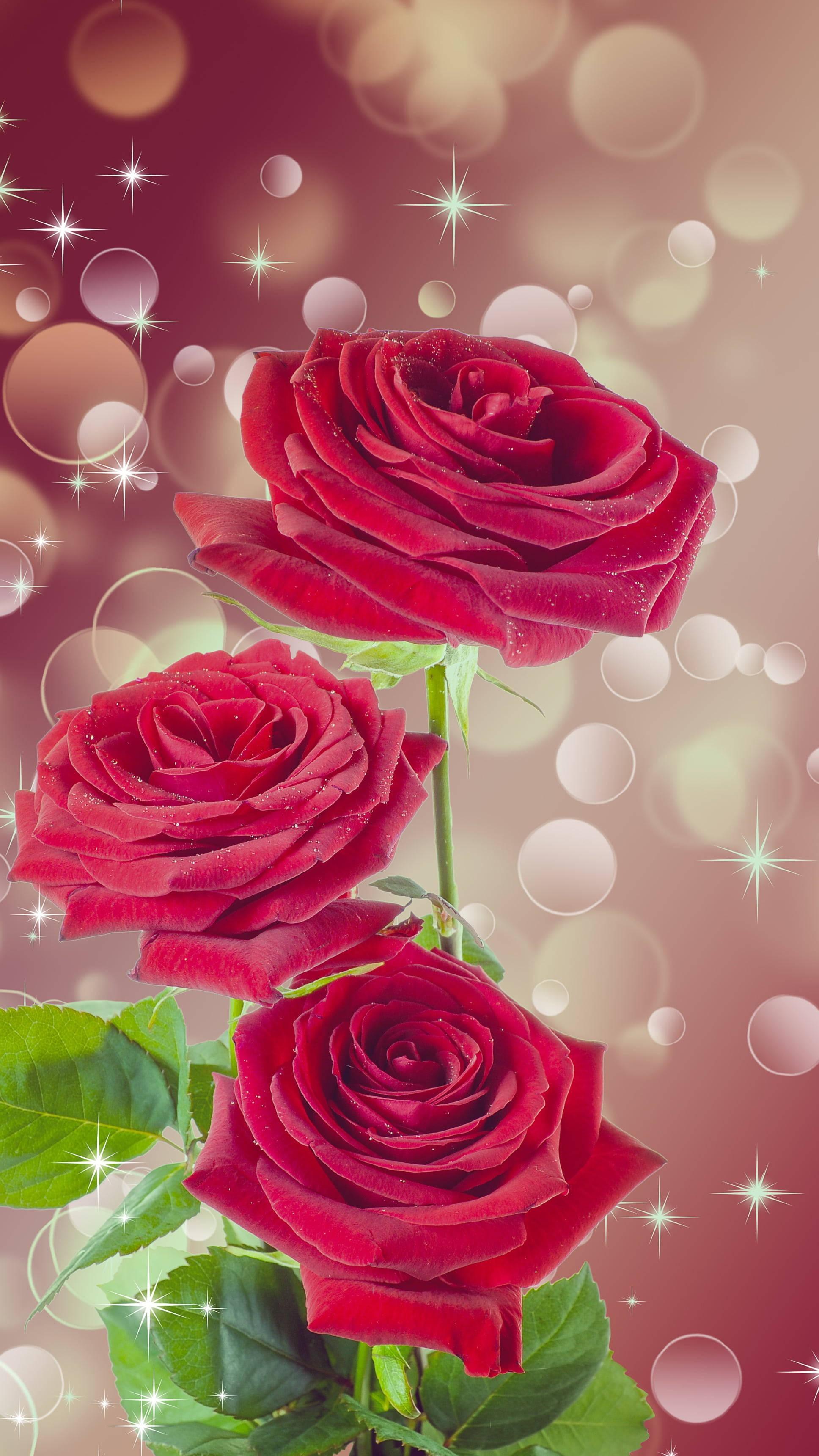 Roses And Sparkles Flower Mobile — 1936x3441 wallpaper