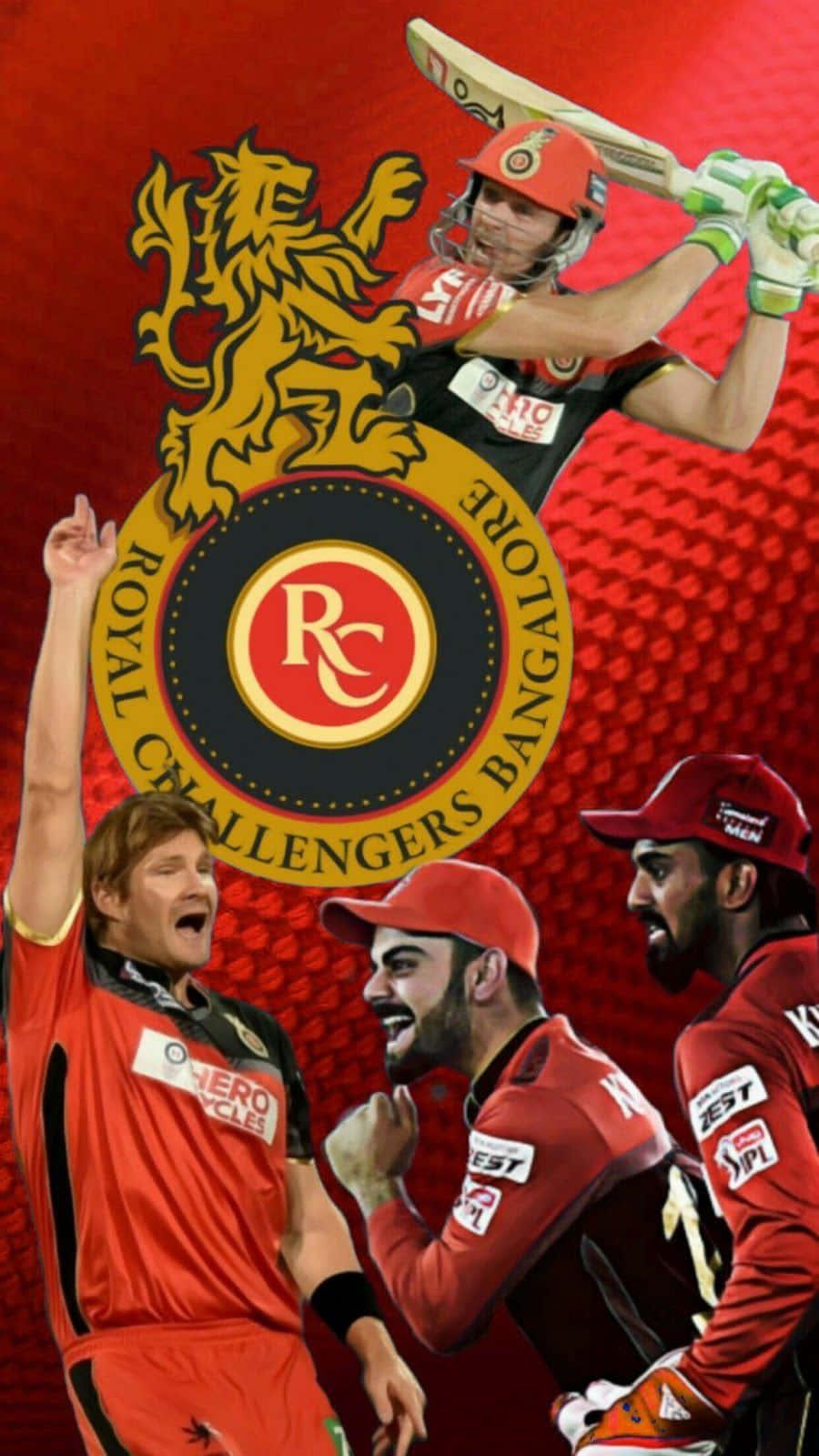 Royal Challengers Bangalore Team Celebrates A Victory — 900x1600 wallpaper