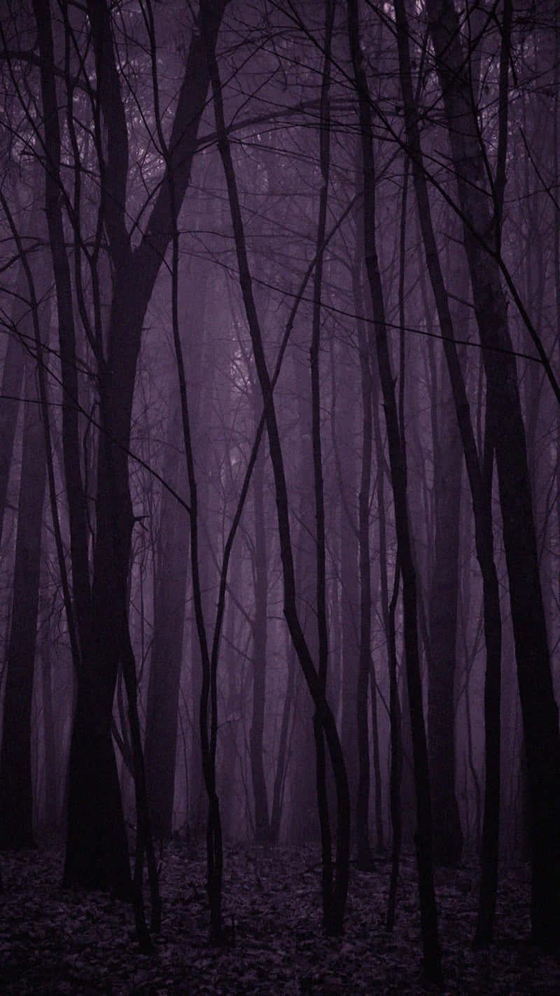 Scary Background — 800x1422 wallpaper