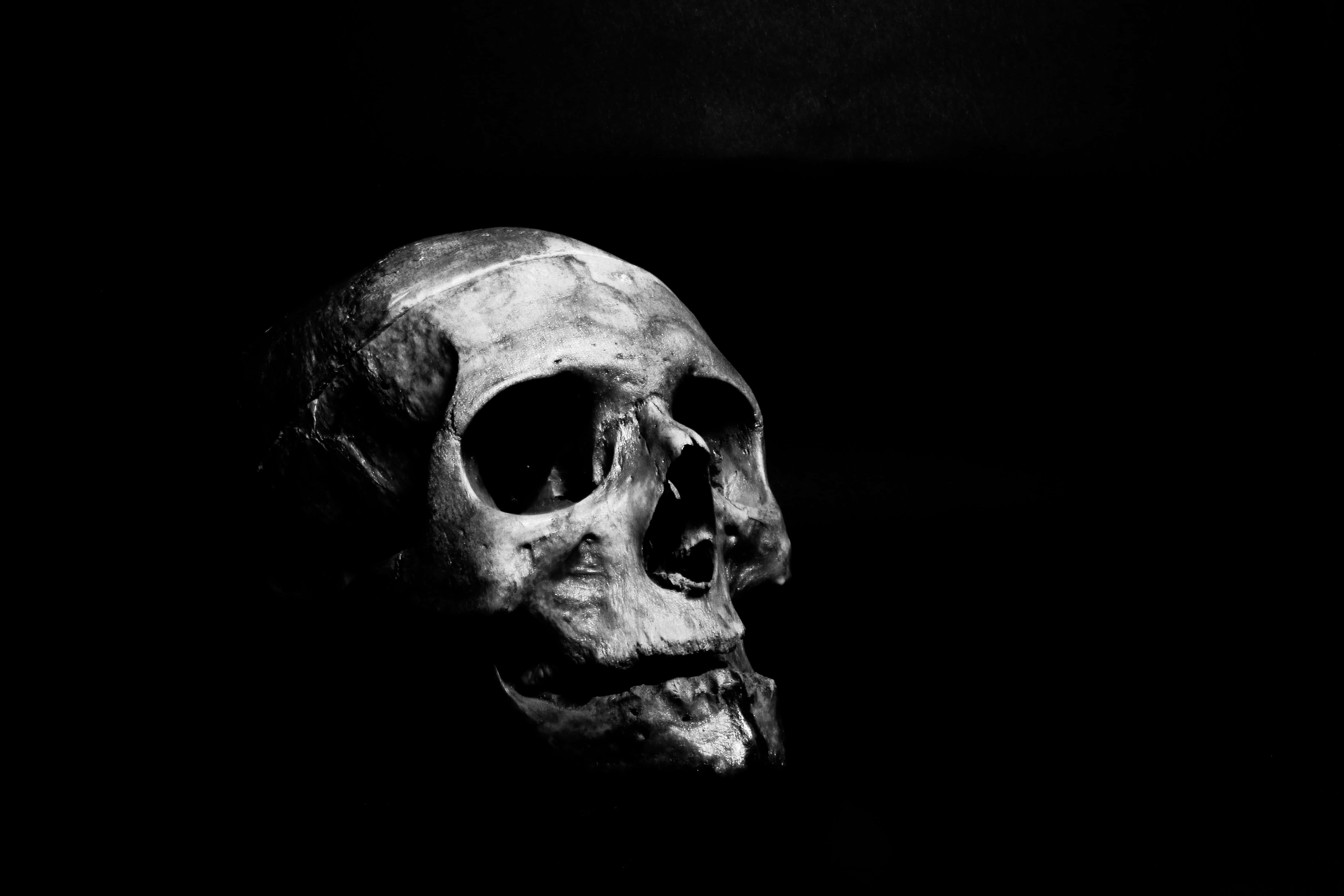Scary Background — 6000x4000 wallpaper