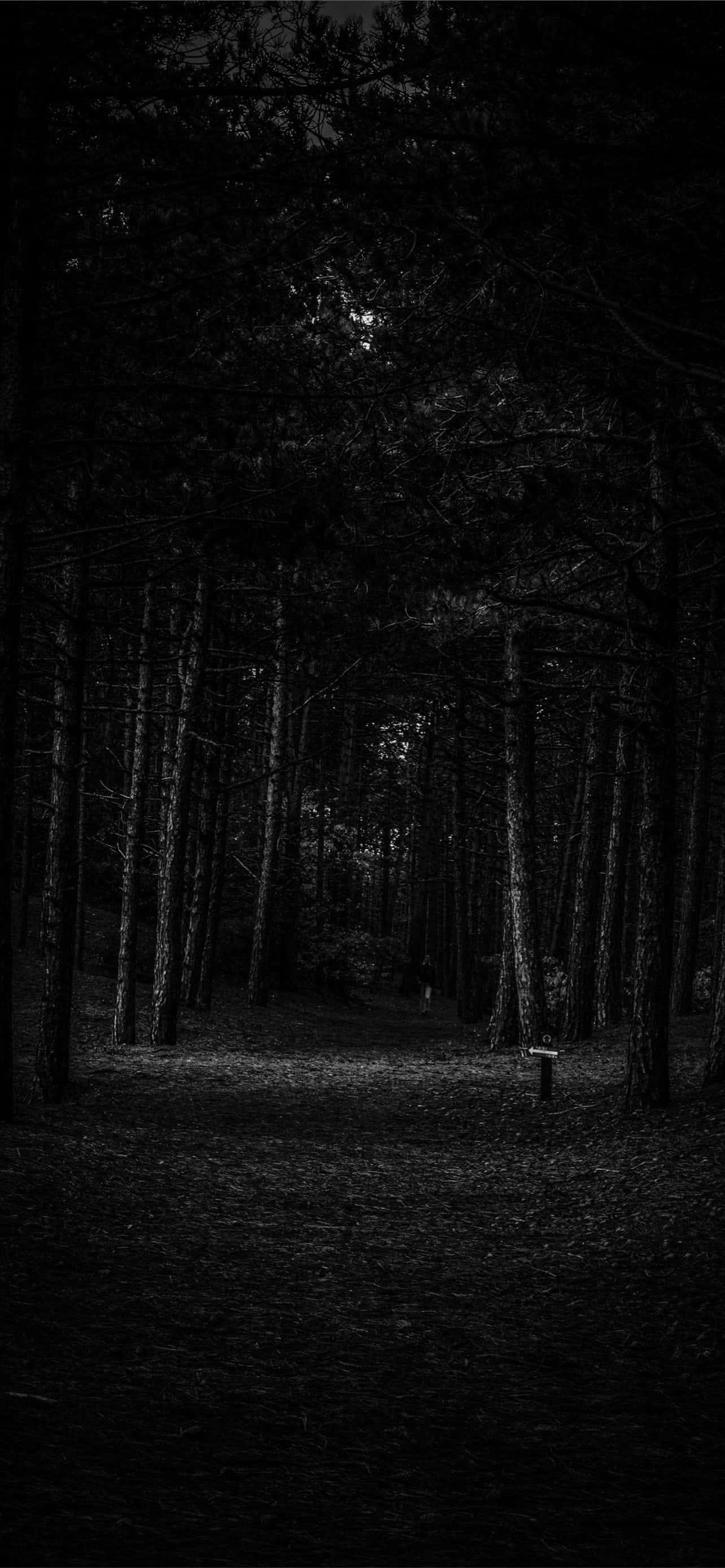 Scary Background — 1284x2778 wallpaper