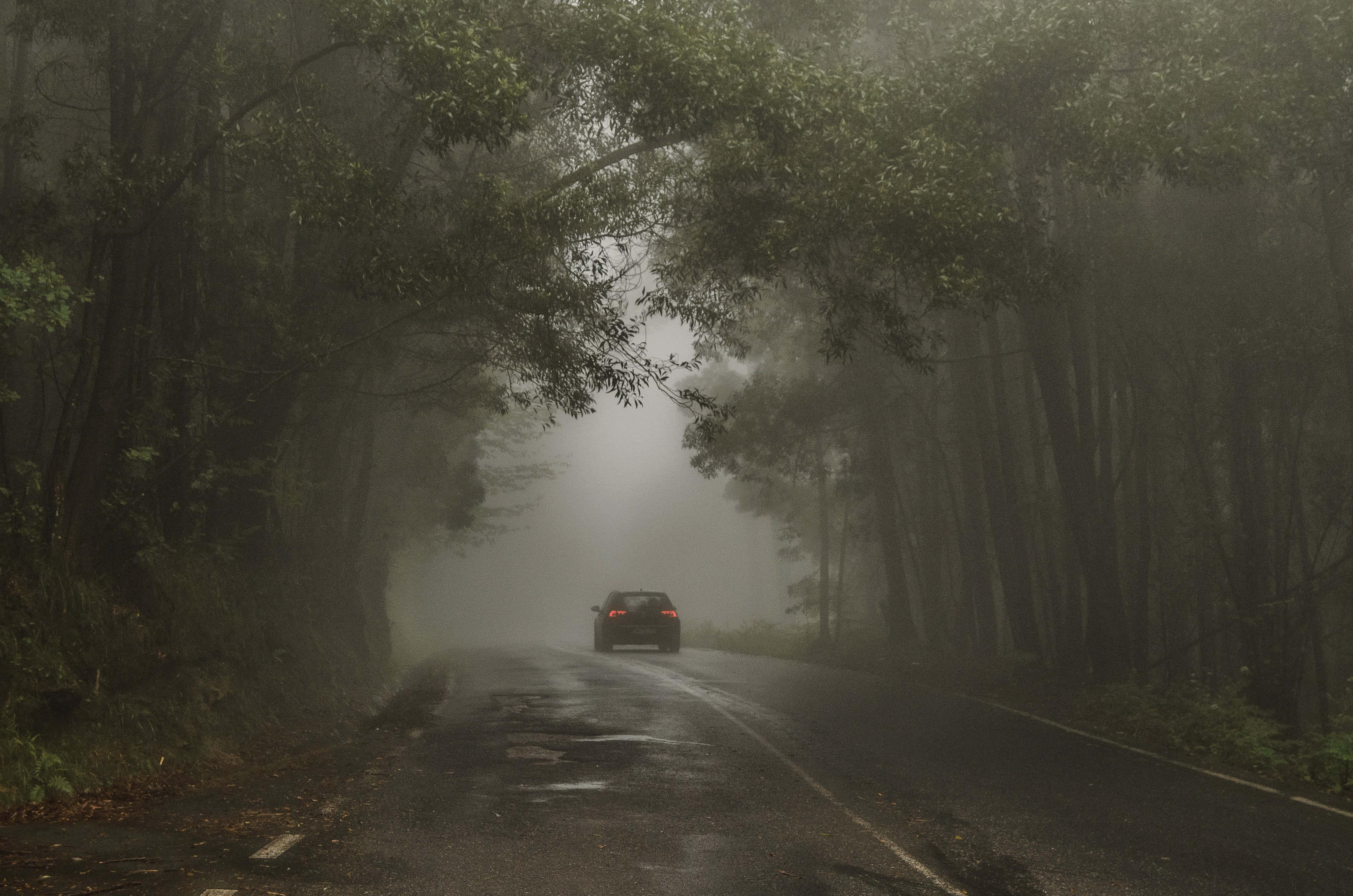 Scary Foggy Road Picture — 4677x3098 wallpaper