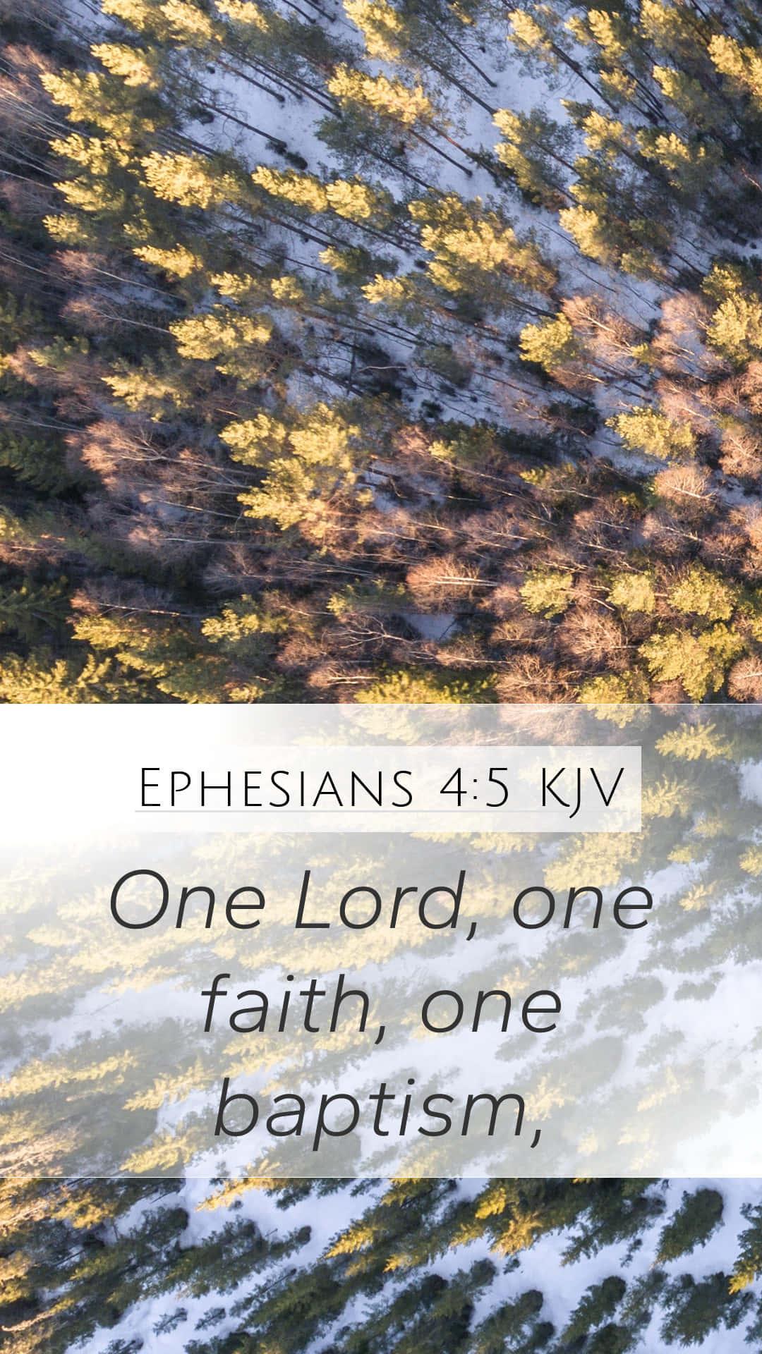 Scripture - Philippians 4:13 — 1080x1920 wallpaper