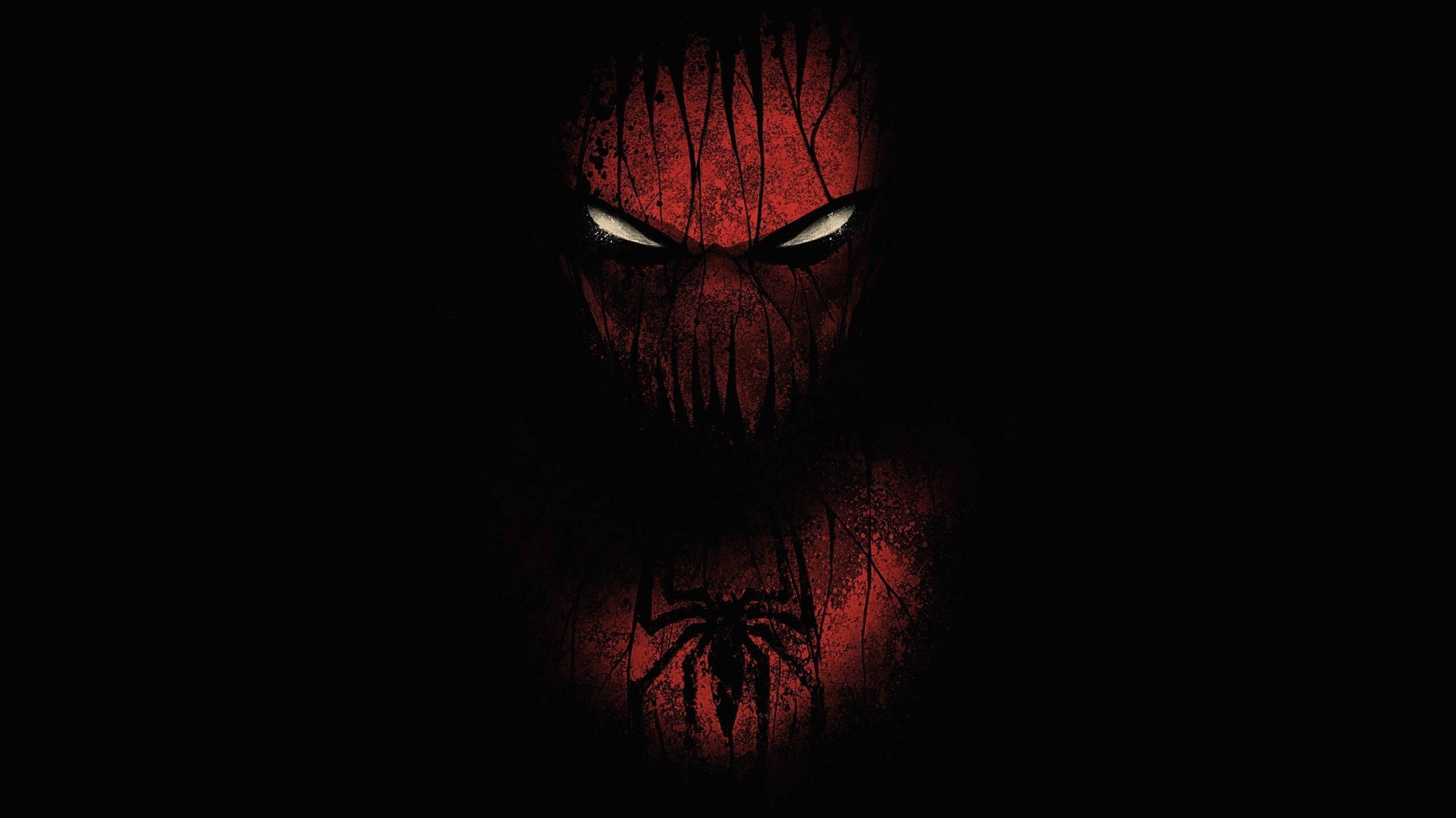 Send a friendly message with the help of Spider-Man — 2560x1440 wallpaper