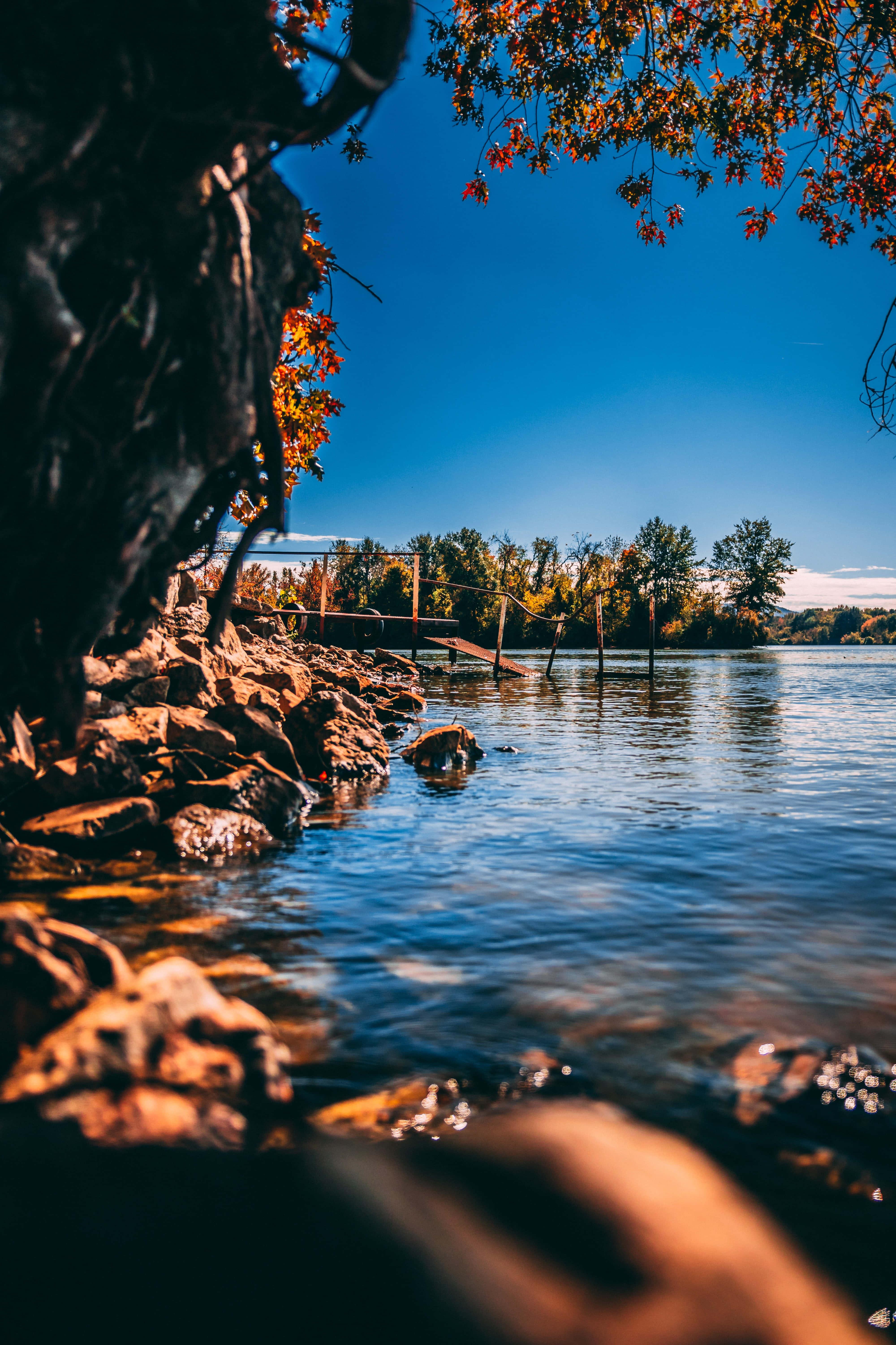 Serene Beauty of Nature — 4000x6000 wallpaper