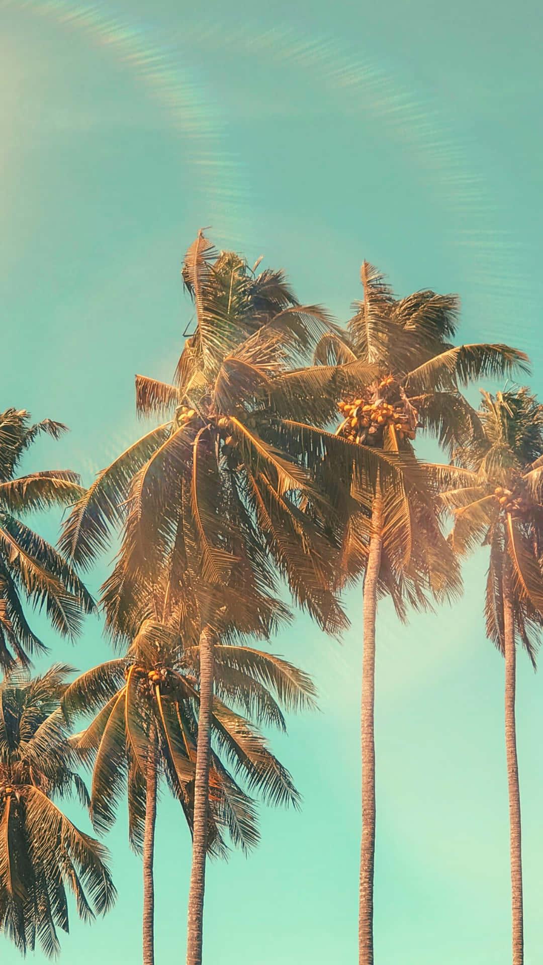 Serene Summer Escape — 1080x1920 wallpaper