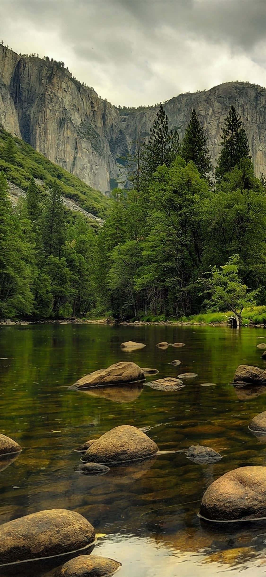 Shallow River Nature Picture — 1125x2436 wallpaper