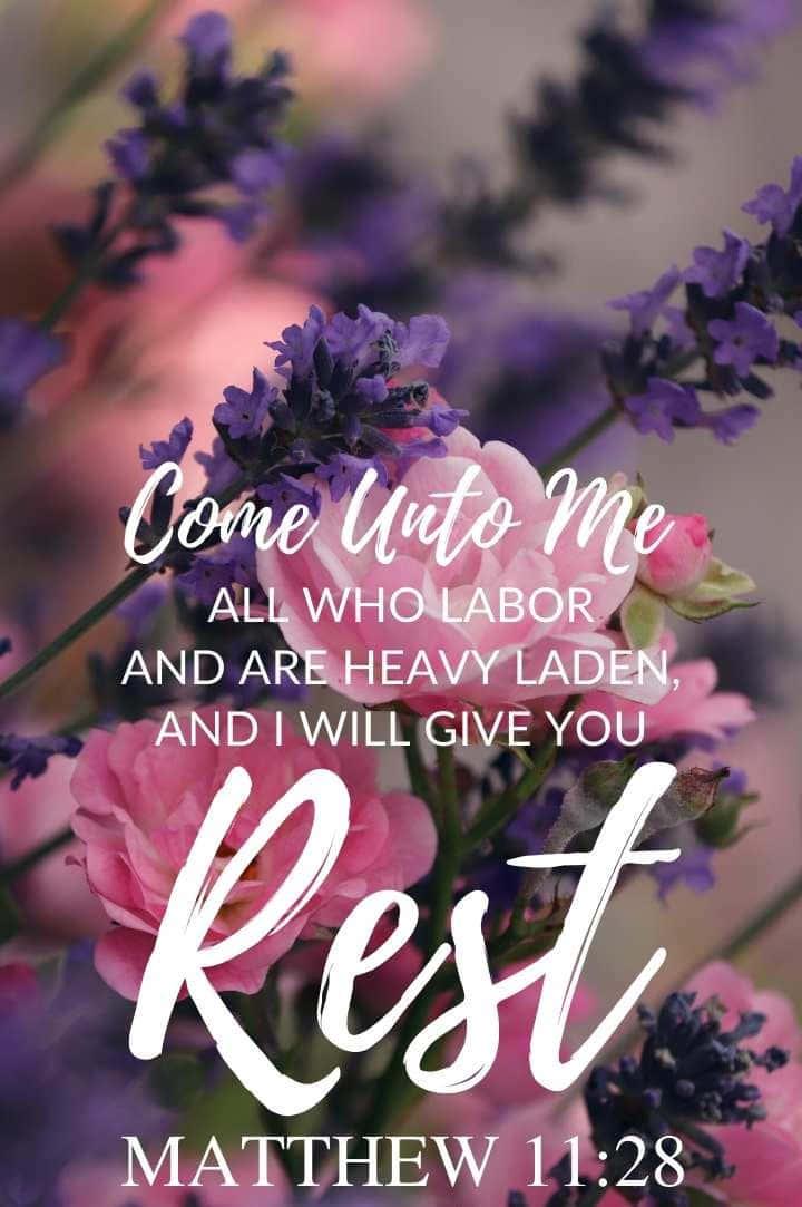 Share Inspiring Bible Verses | Bible Verse Phone — 720x1083 wallpaper