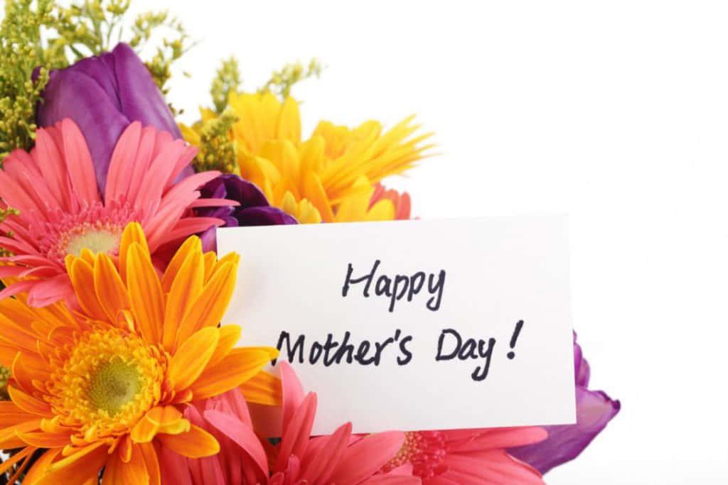 Show your mom some love on Mothers Day — 1024x683 wallpaper