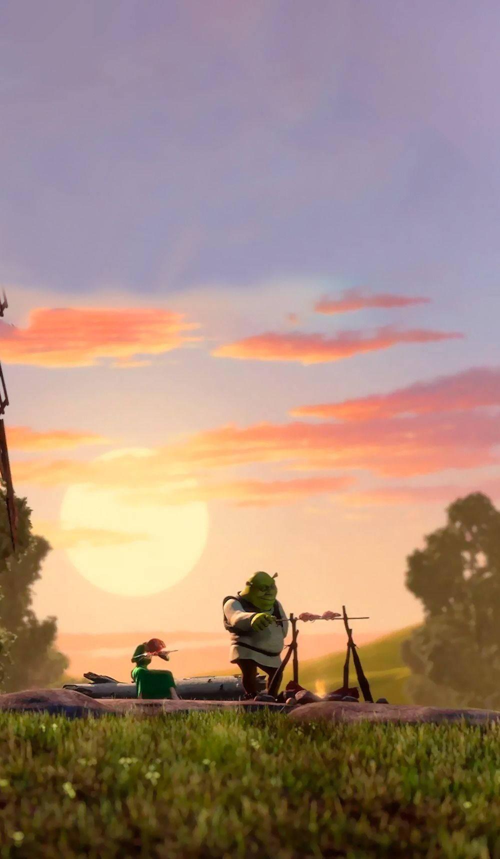 Shrek And Princess Fiona — 1000x1718 wallpaper