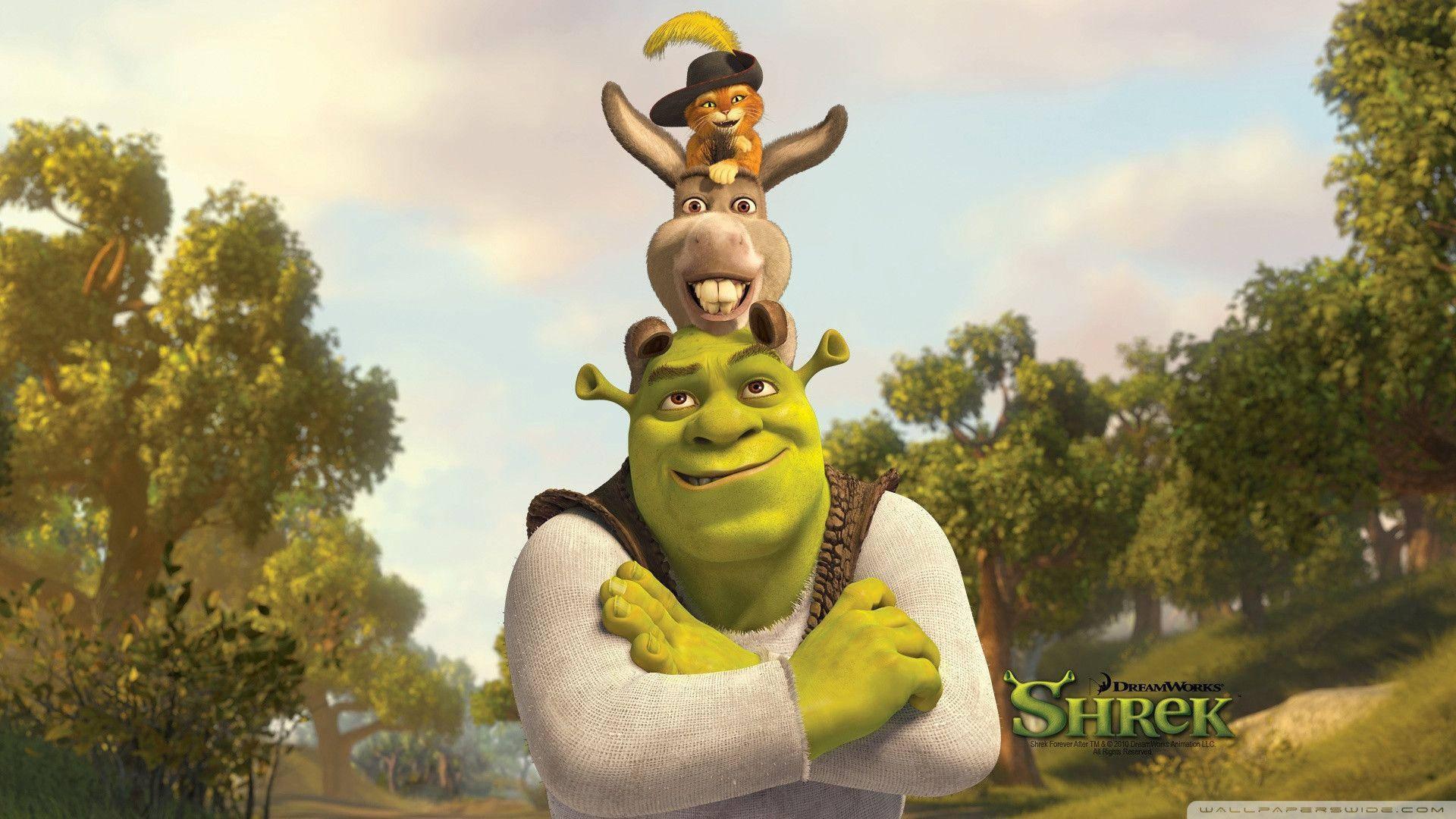 Shrek Donkey And Puss — 1920x1080 wallpaper