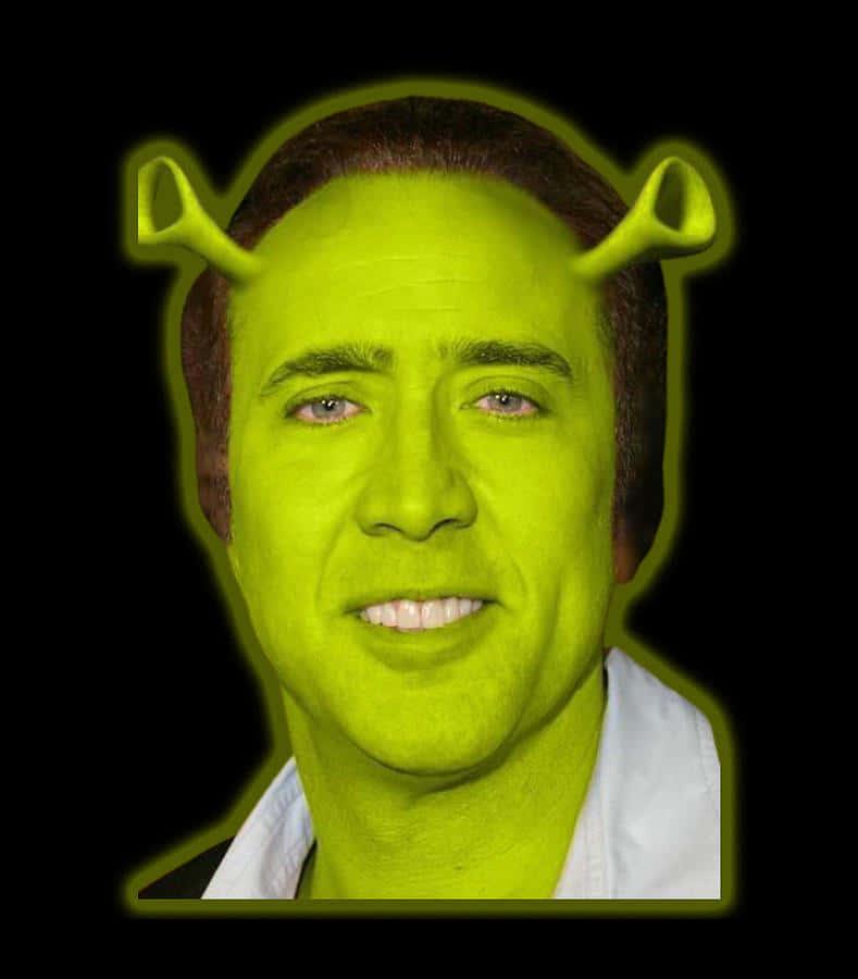 Shrek Making a Funny Face — 789x900 wallpaper