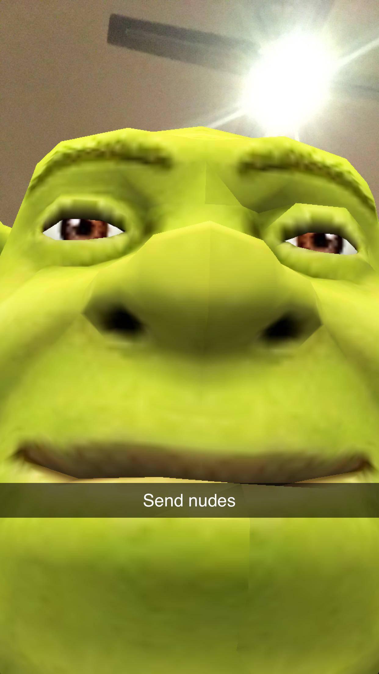 Shrek Nudes Meme PFP — 1242x2208 wallpaper