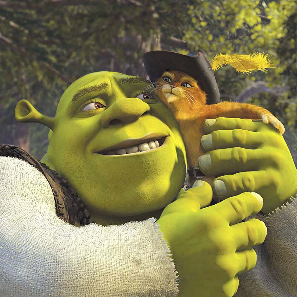Shrek pictures — 1000x1000 wallpaper