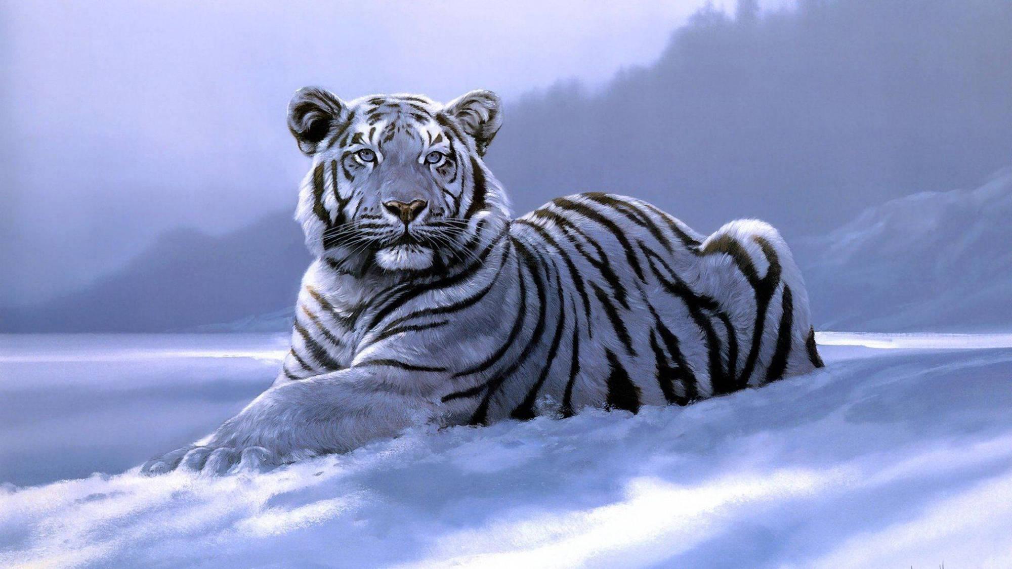 Siberian Tiger In Winter Art — 2000x1125 wallpaper