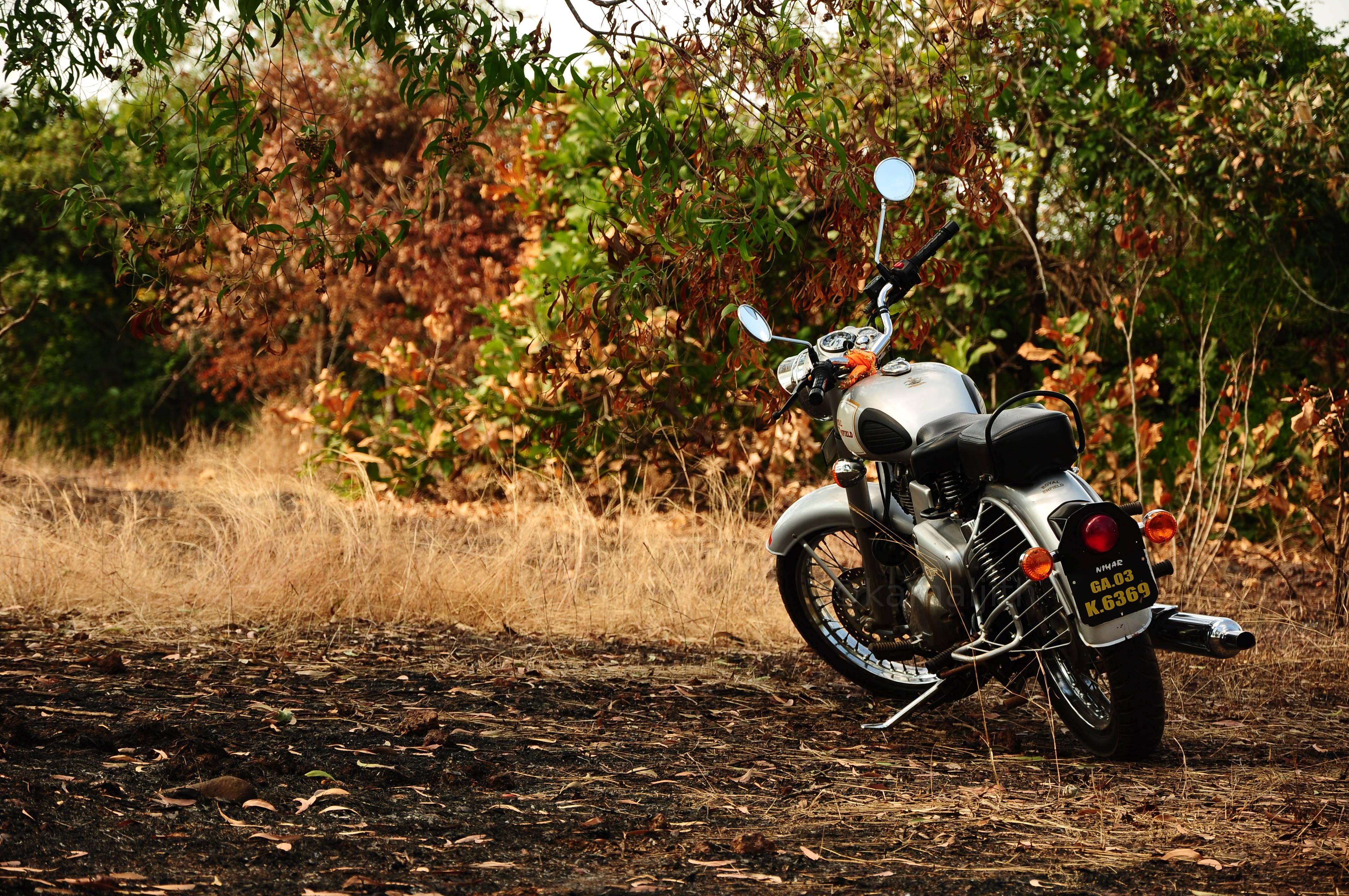 Silver Motorcycle In Autumn — 4288x2848 wallpaper
