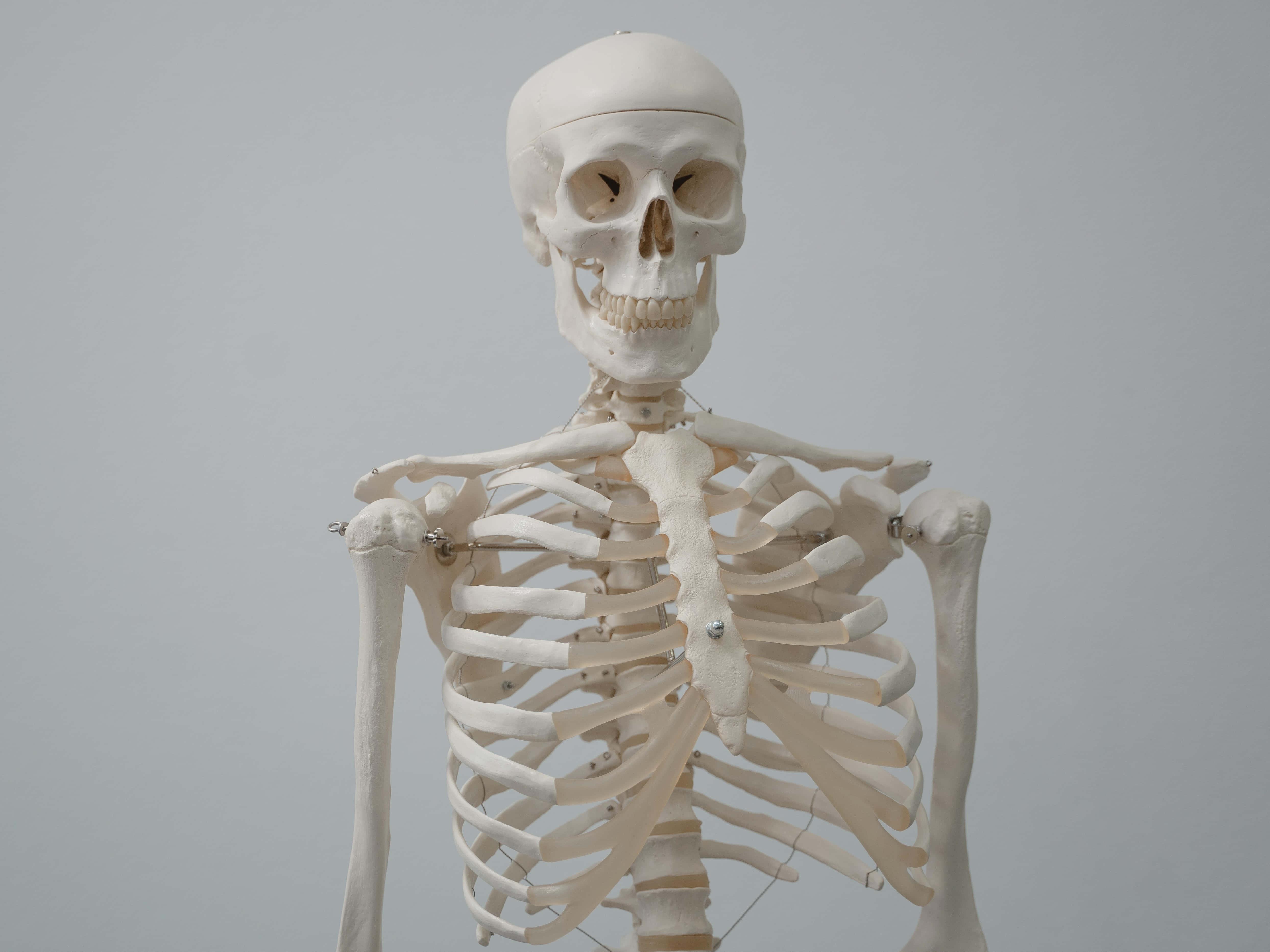Skull Background — 4975x3731 wallpaper