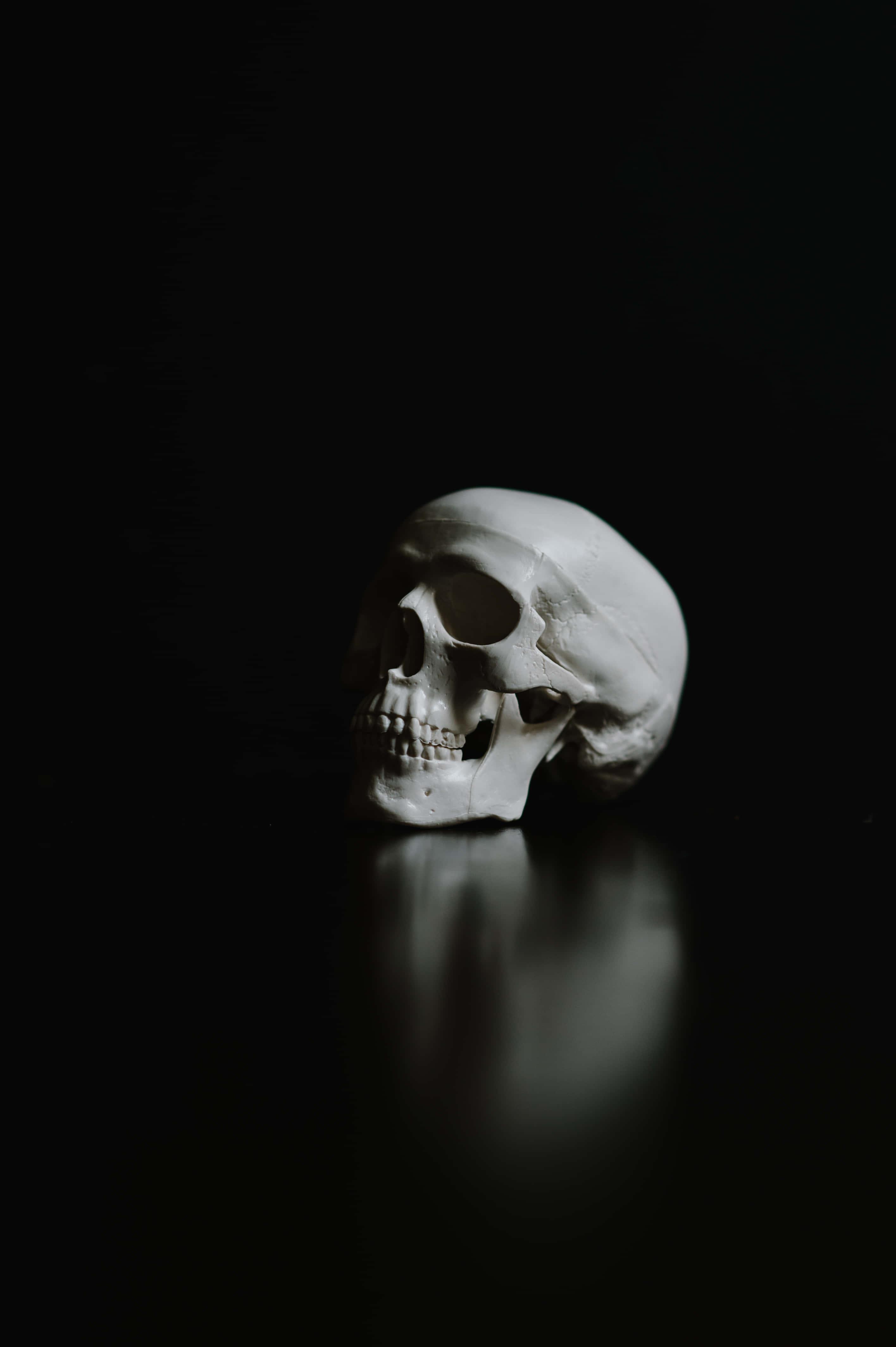 Skull Background — 2832x4256 wallpaper