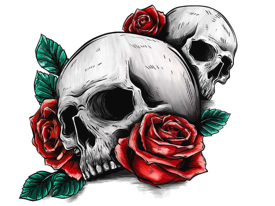 Skull pictures — 900x675 wallpaper