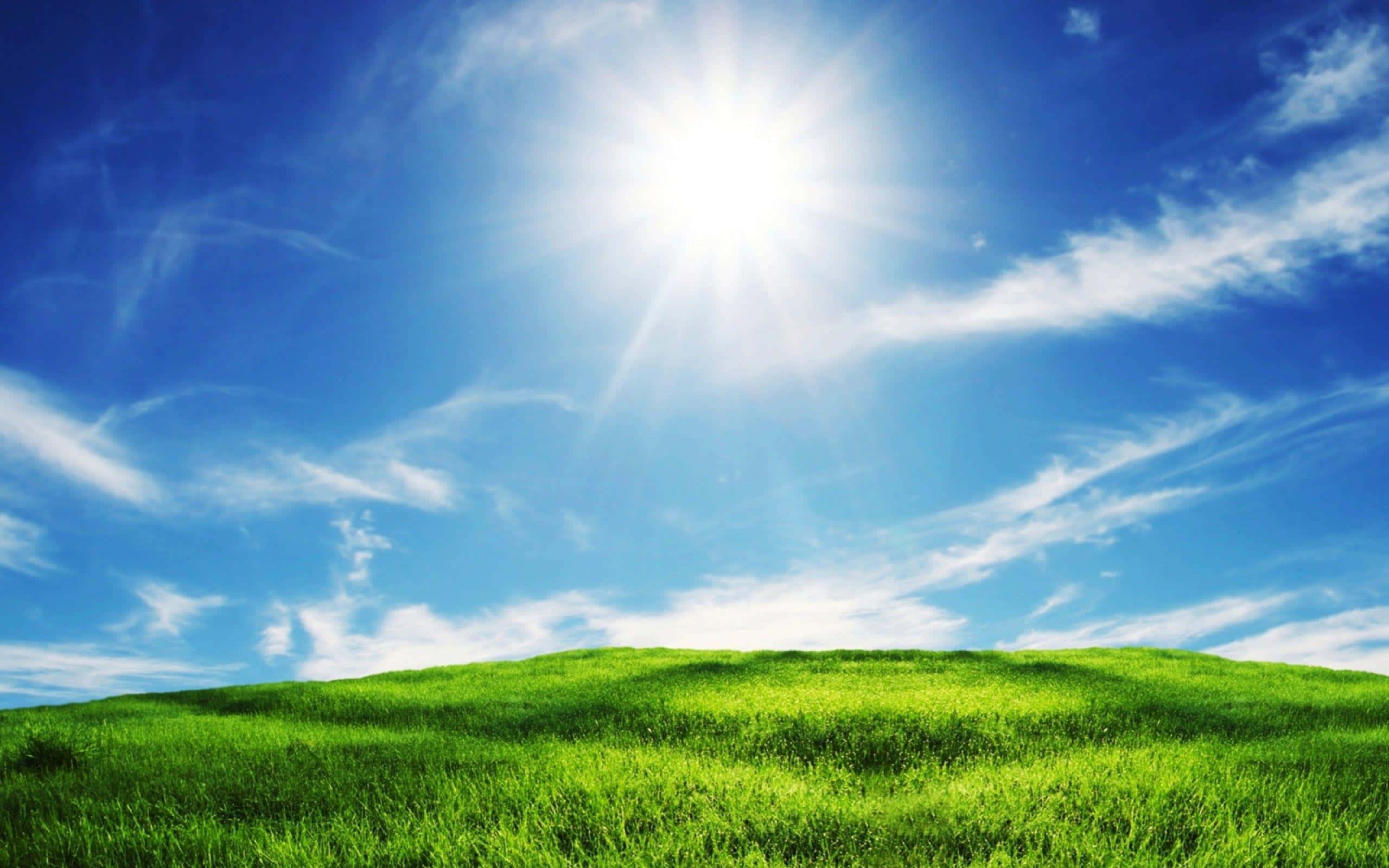 Sky Background Rays Clouds — 2560x1600 wallpaper