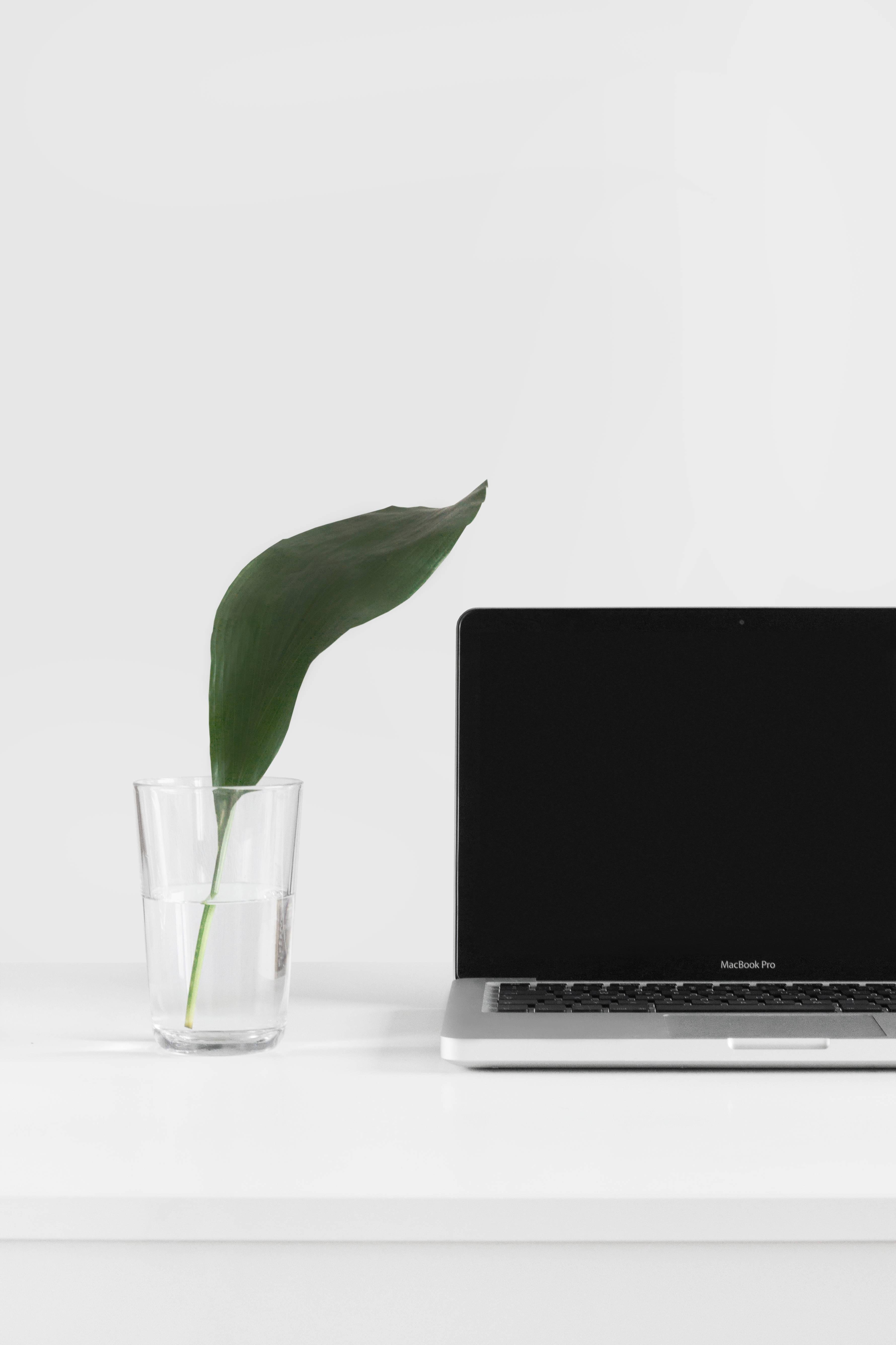 Sleek Minimalist MacBook Pro Setup — 3560x5340 wallpaper