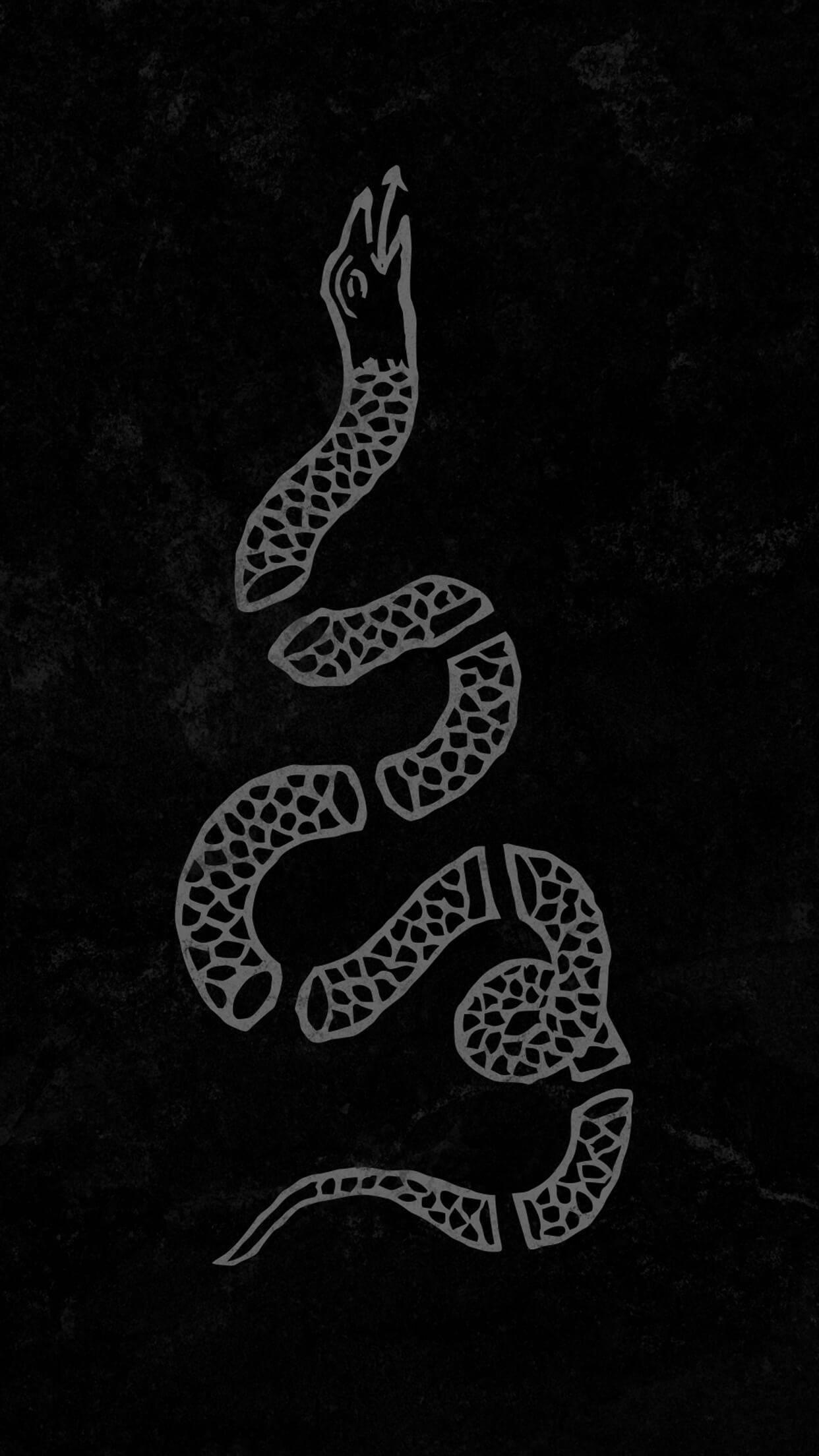 Snake In Pieces Outline Phone — 1242x2208 wallpaper
