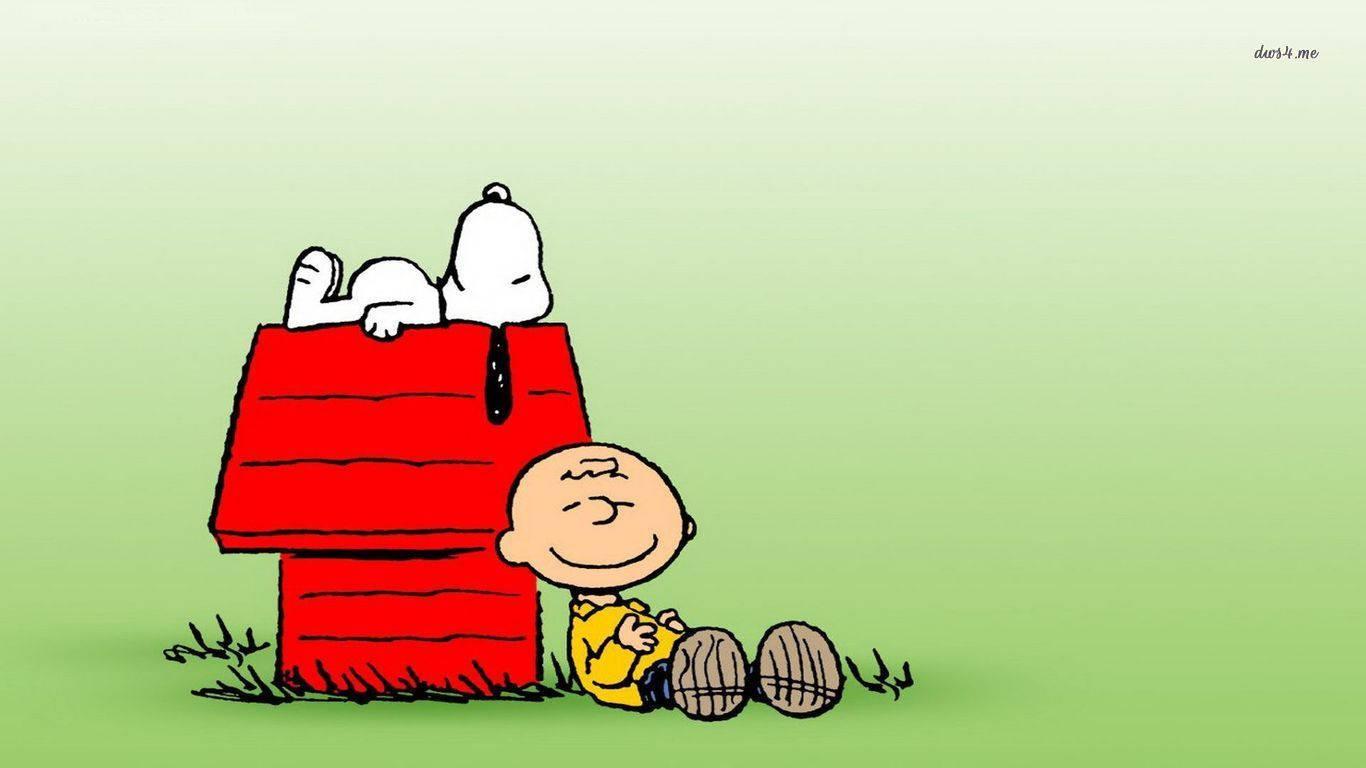 Snoopy and Charlie Brown Enjoying a Sunny Day — 1366x768 wallpaper