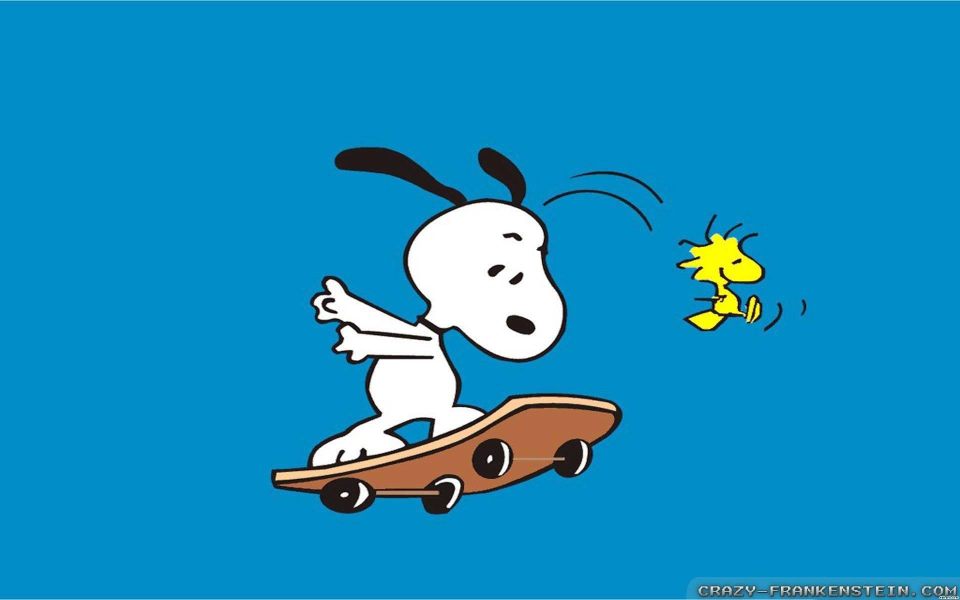 Snoopy and Woodstock catching some thrills on their skateboard. — 1920x1200 wallpaper