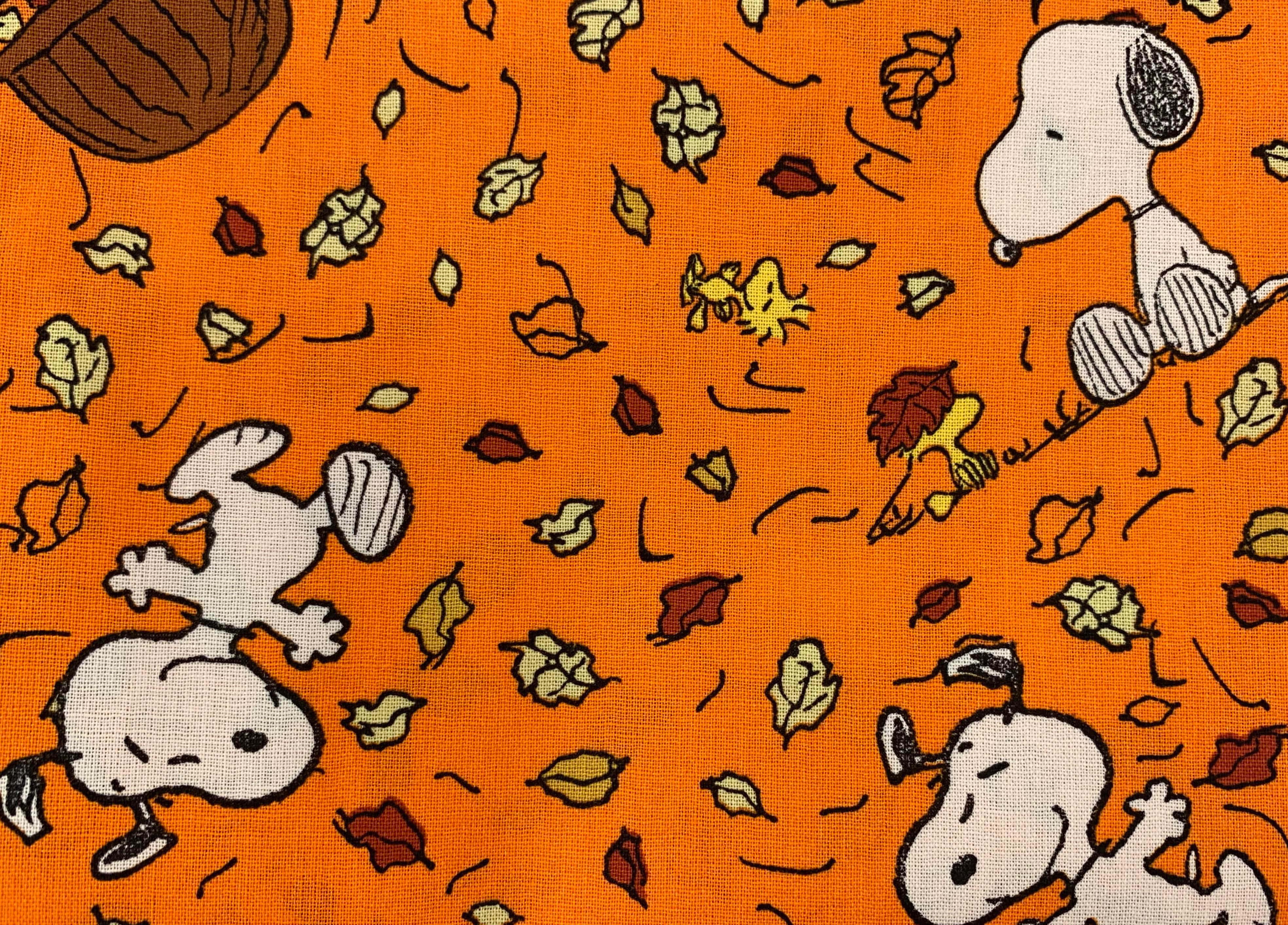 Snoopy dreaming up adventures — 3936x2828 wallpaper